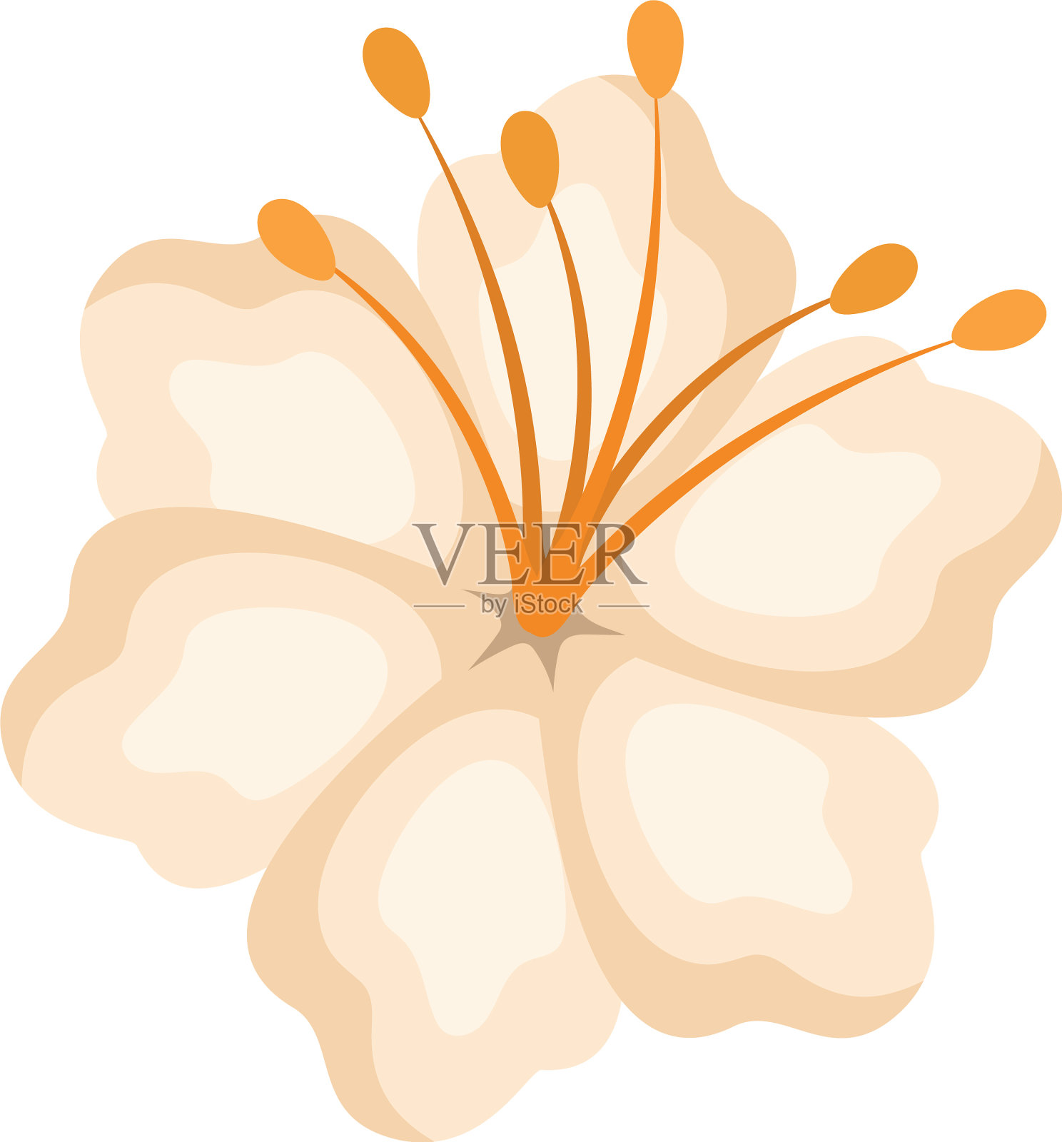 孤立的白色夏威夷花设计插画图片素材