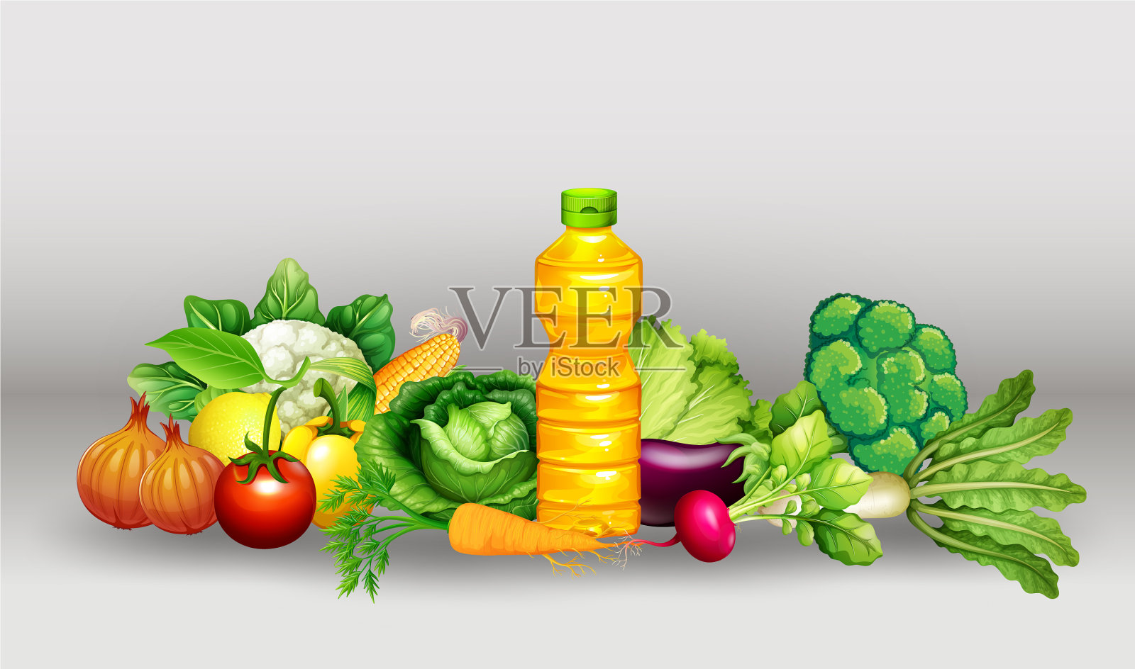 将不同的蔬菜和瓶油分组插画图片素材