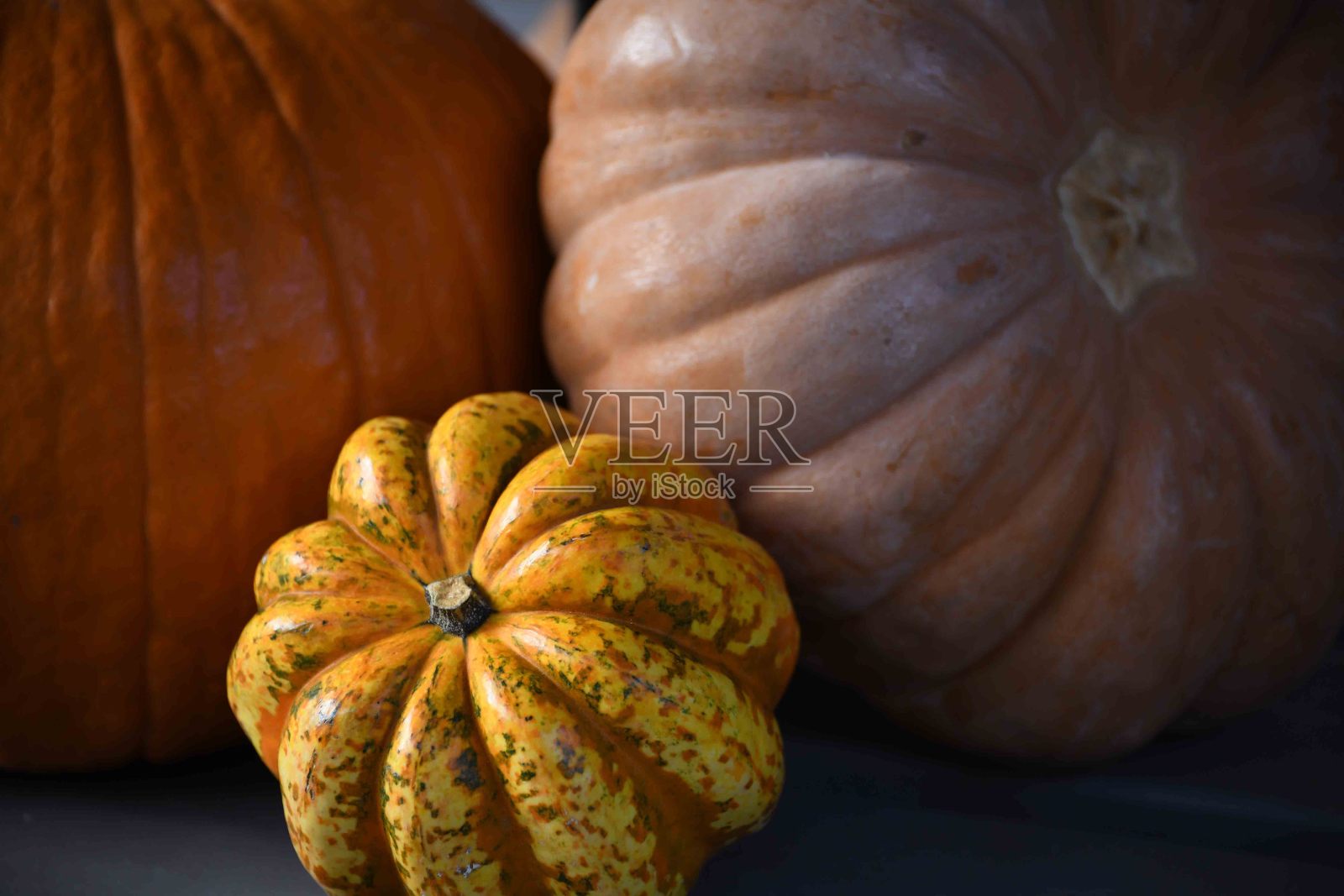 南瓜照片摄影图片