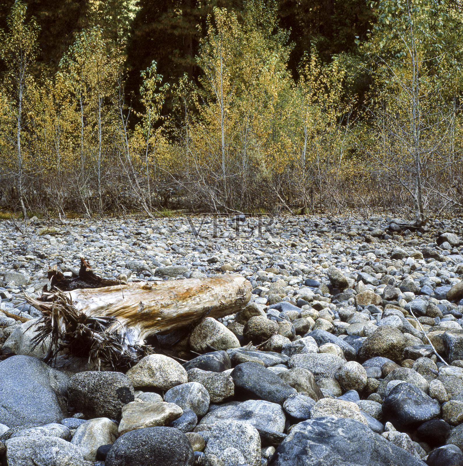优胜美地国家公园默塞德河秋景照片摄影图片