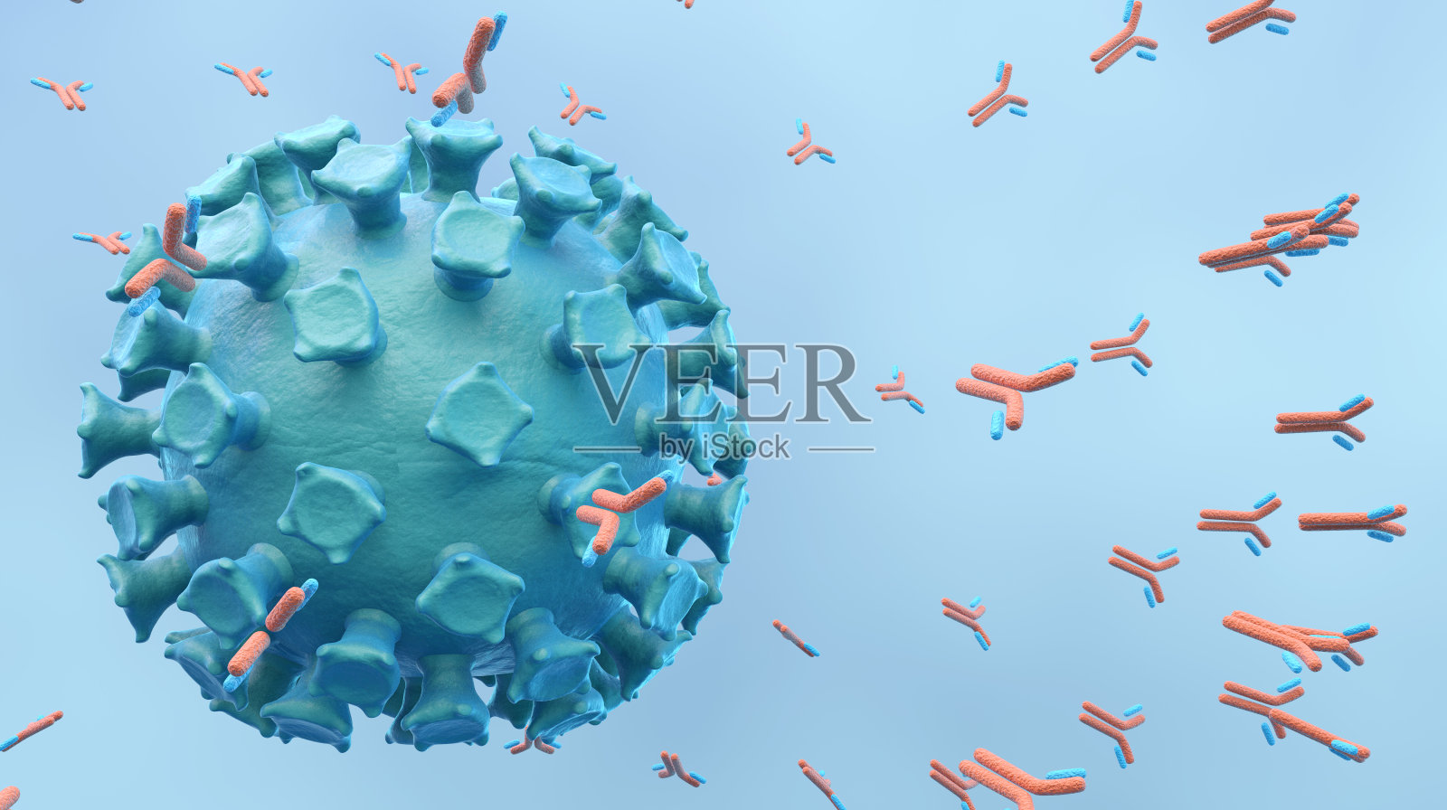 攻击新冠病毒的抗体照片摄影图片