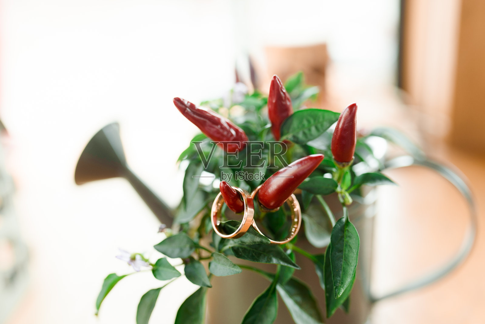 金婚戒以红辣椒为背景。结婚戒指在不寻常的背景下。照片摄影图片