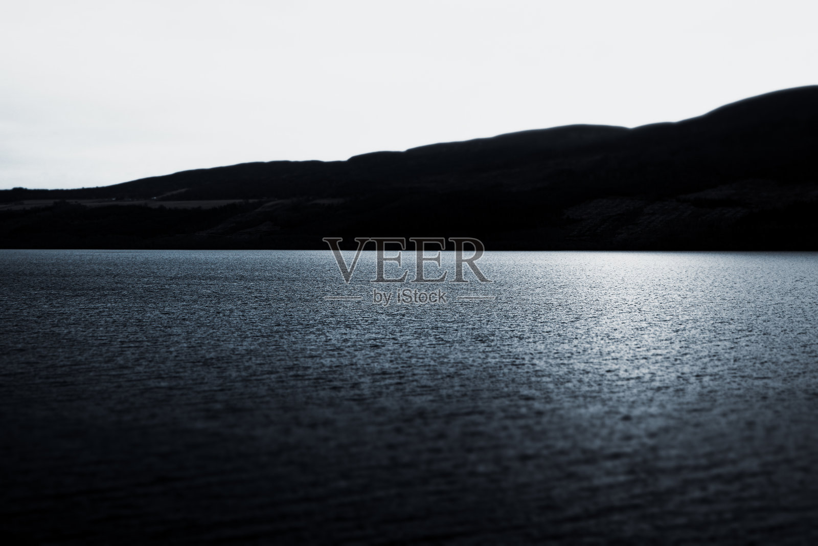 尼斯照片摄影图片