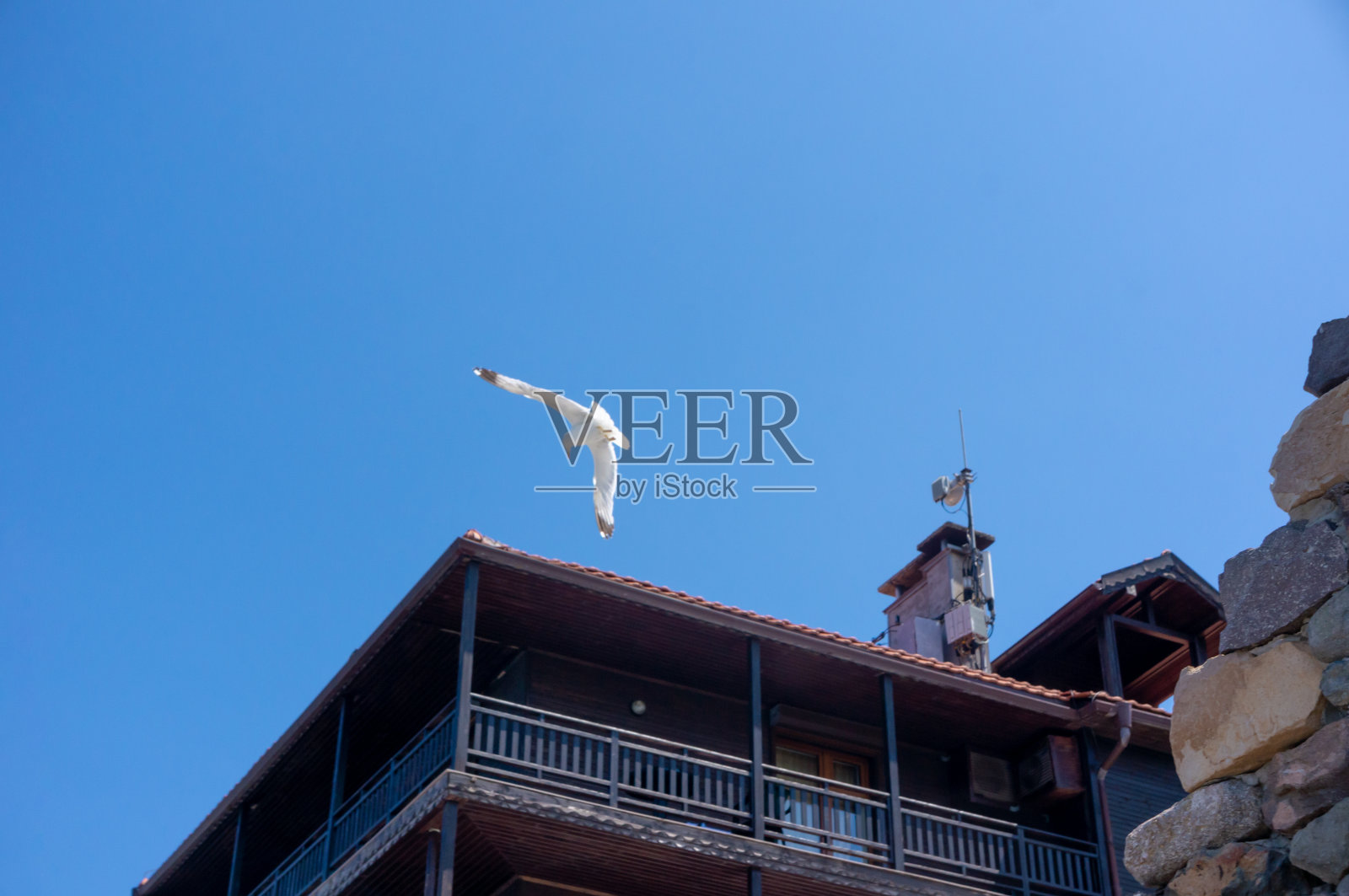 一只海鸥在一座沿海的木制建筑附近飞向天空照片摄影图片