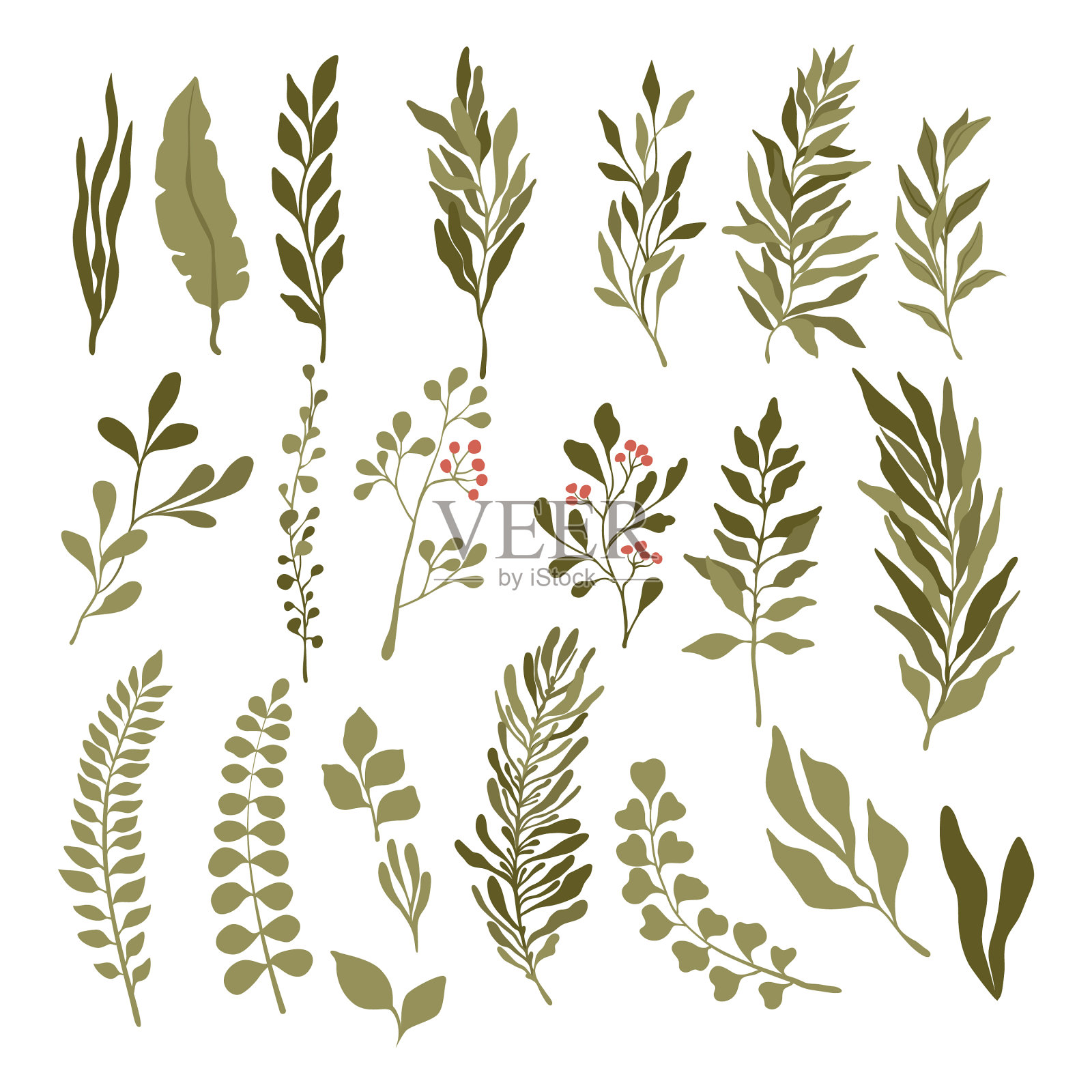 设置绿色的树叶和树枝绿色和新鲜插画图片素材