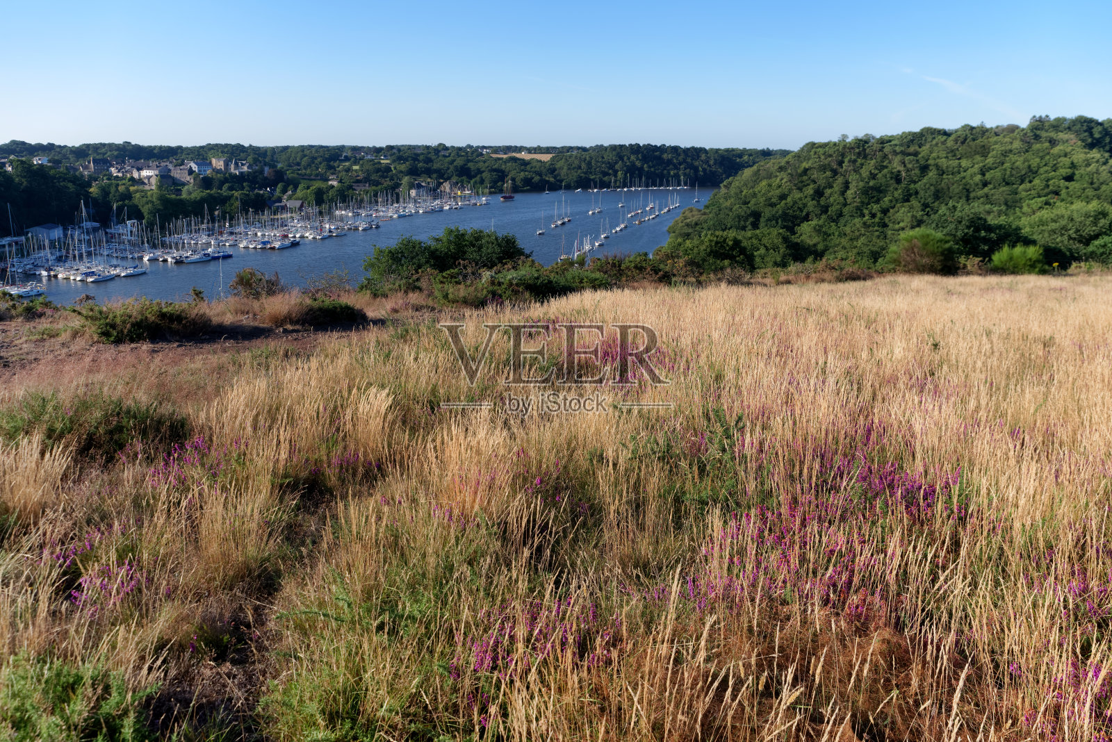 拉罗什伯纳山和维雷恩河照片摄影图片