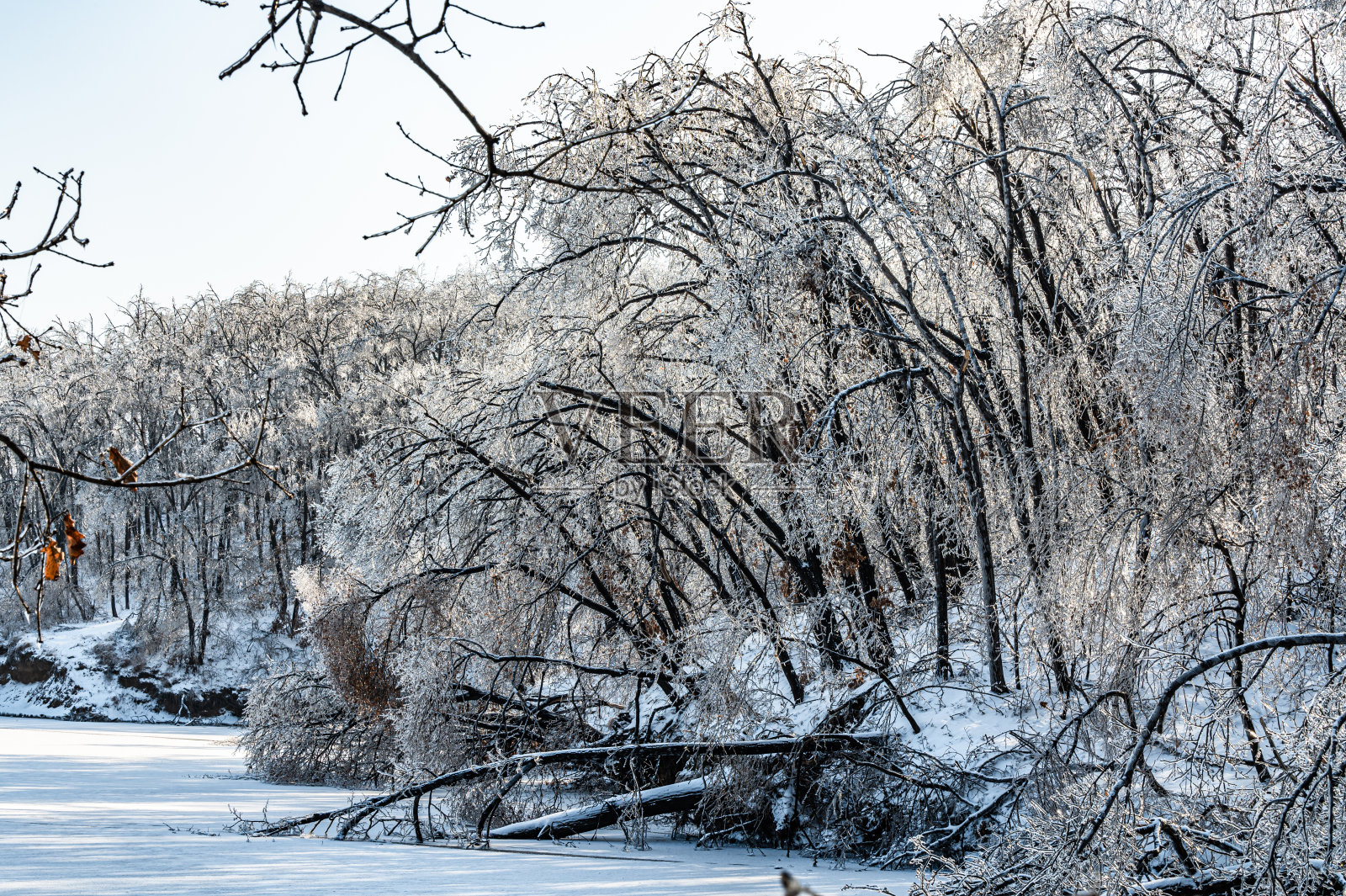 中国长春净月潭国家森林公园的冬雪景象照片摄影图片