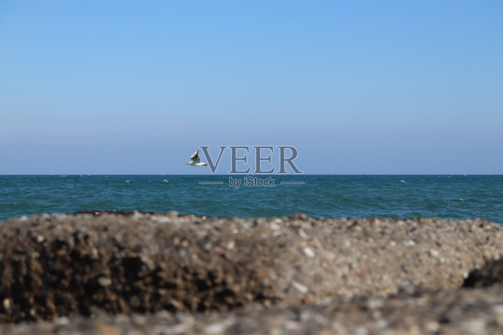 蓝色的自由。照片摄影图片