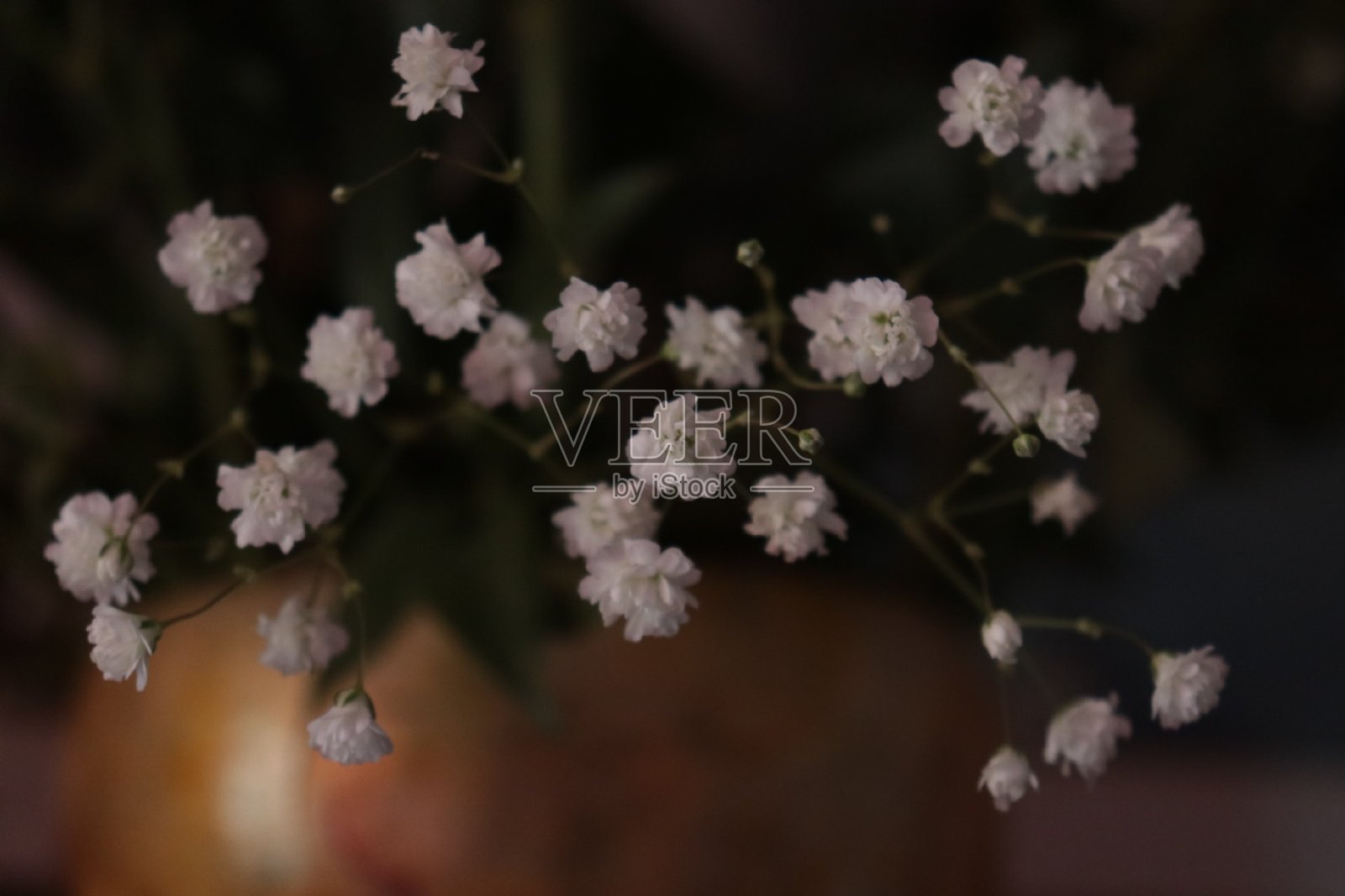 白色照片摄影图片