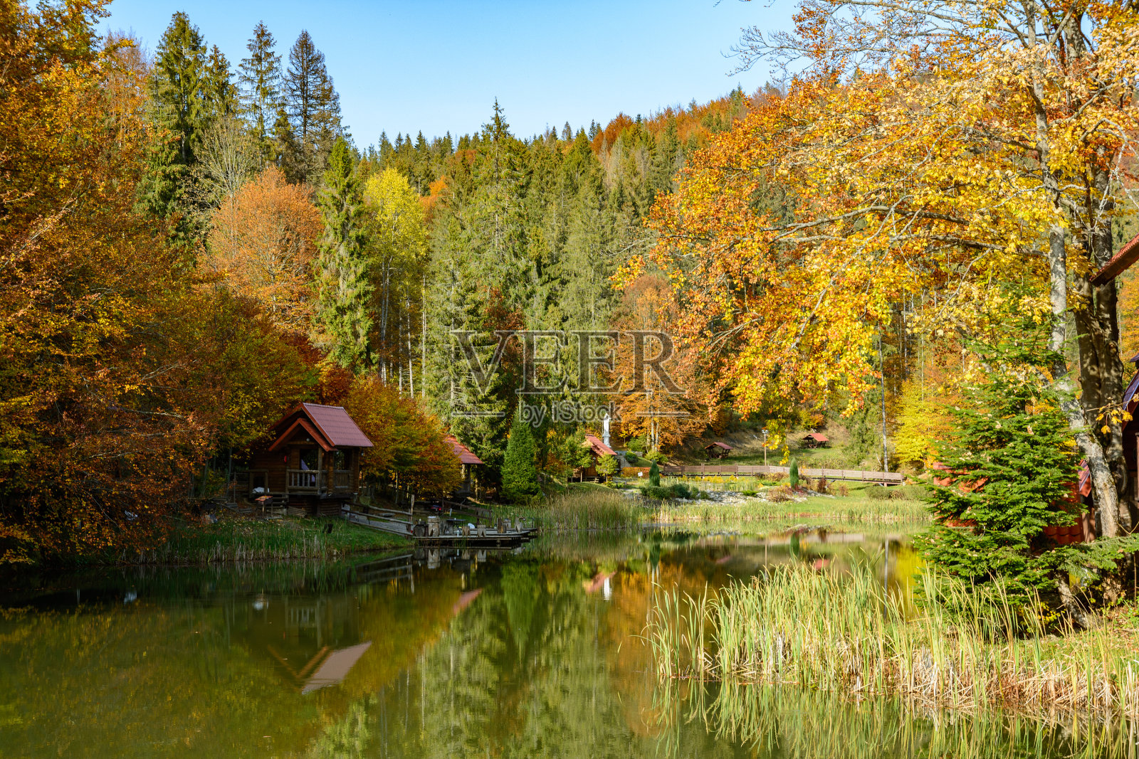 温暖晴朗的秋日，在乌克兰喀尔巴阡山脉维塔湖附近的一个公园里。树叶飘落的风景，色彩斑斓的秋天。照片摄影图片