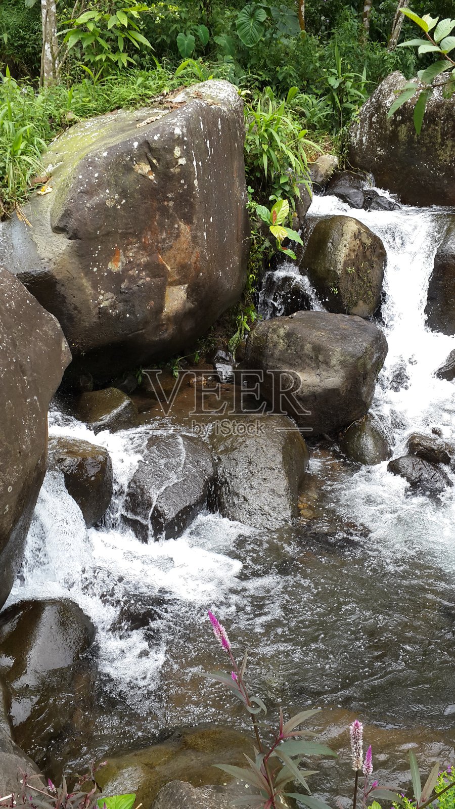 河岸照片摄影图片
