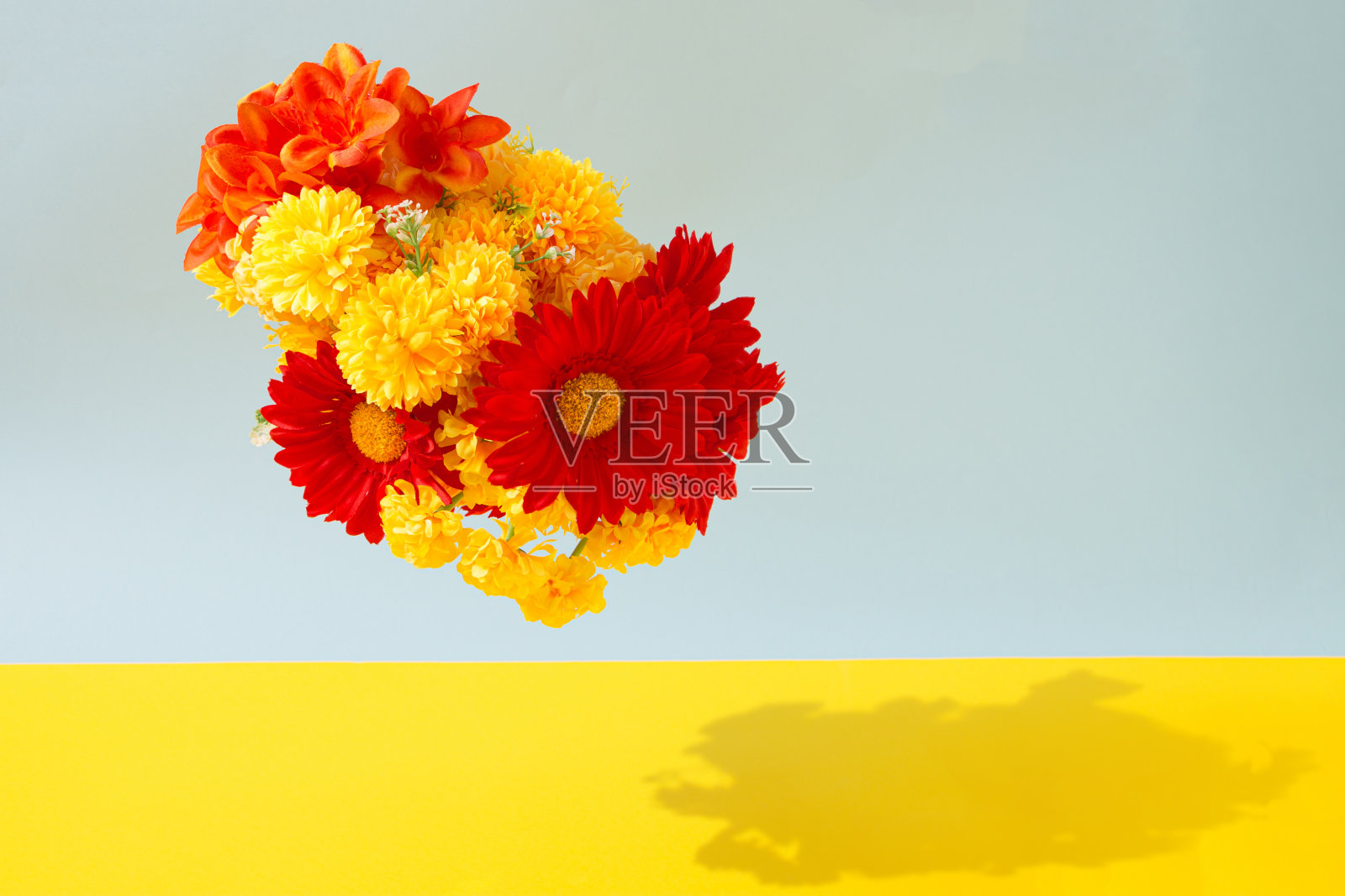 春天的花朵照片摄影图片