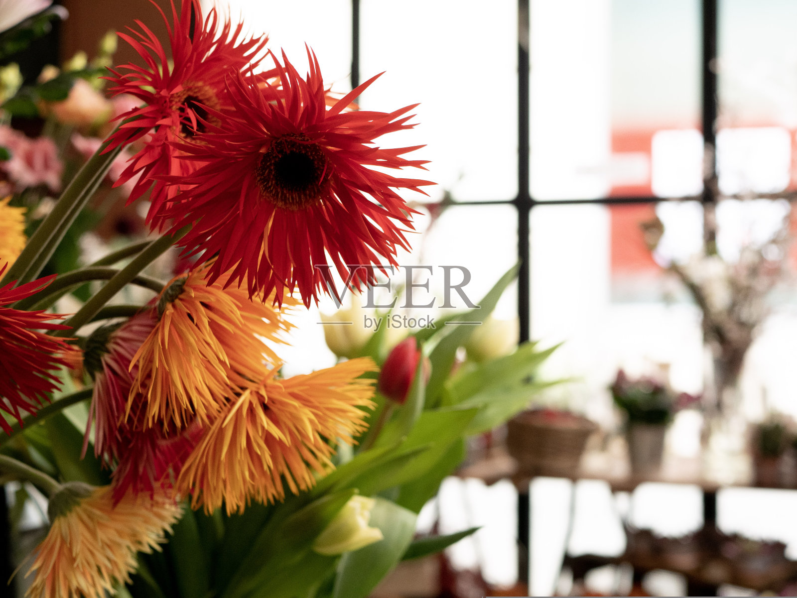 鲜花店照片摄影图片