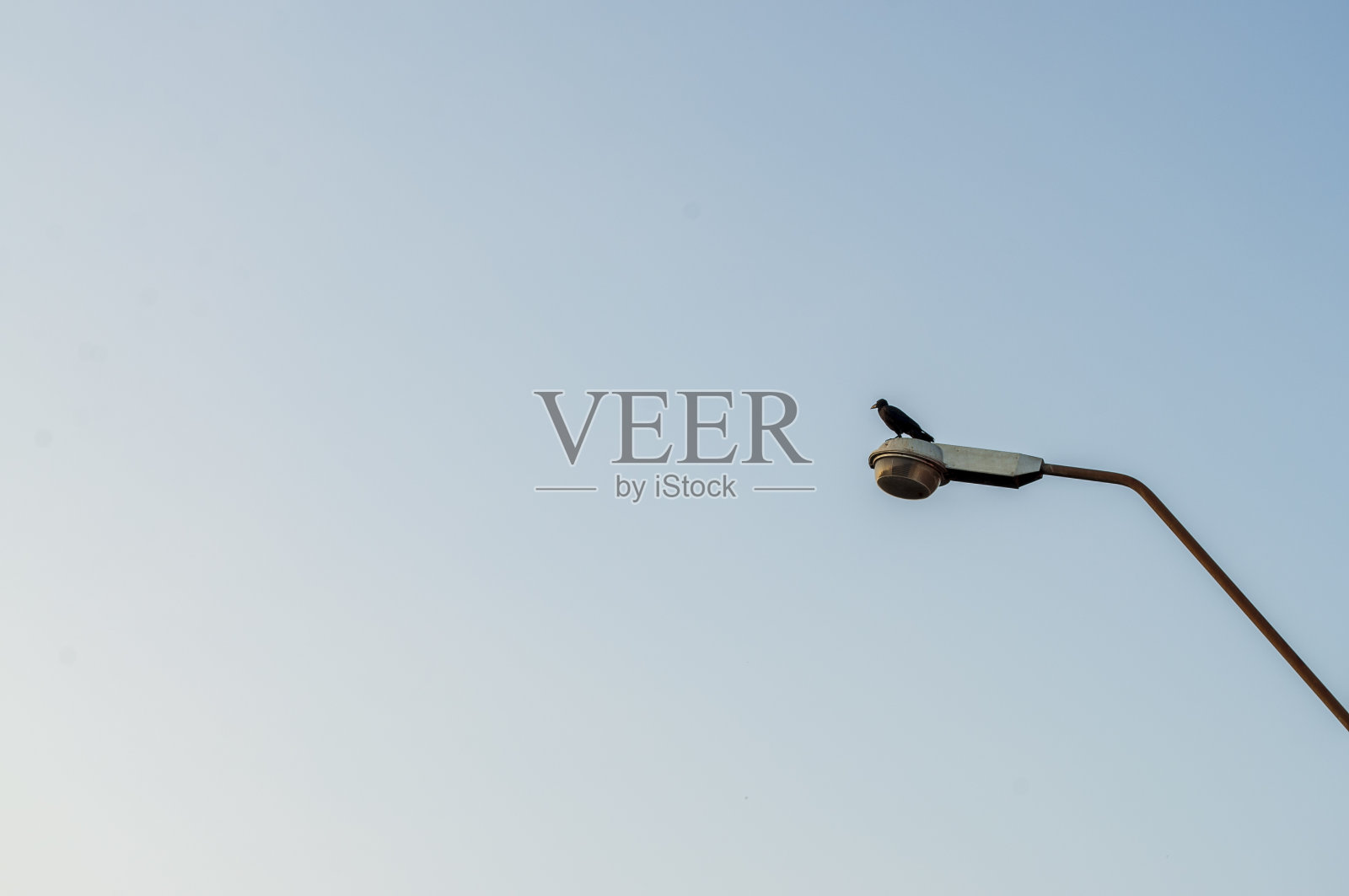 天空背景中的街灯照片摄影图片