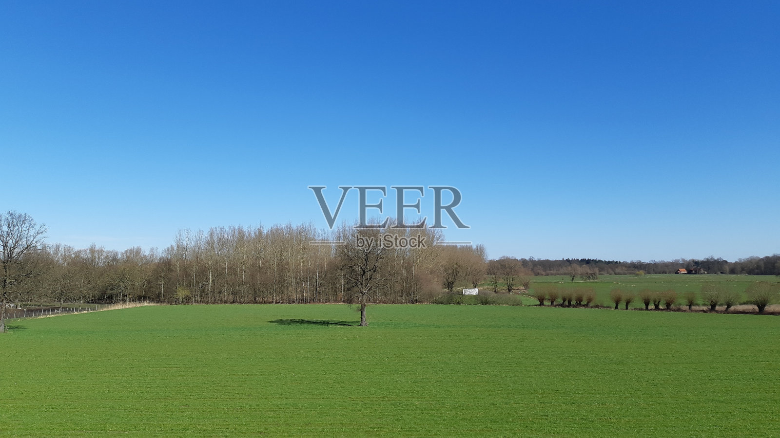 比利时佛兰德斯乡村春季农田的高角度视图照片摄影图片