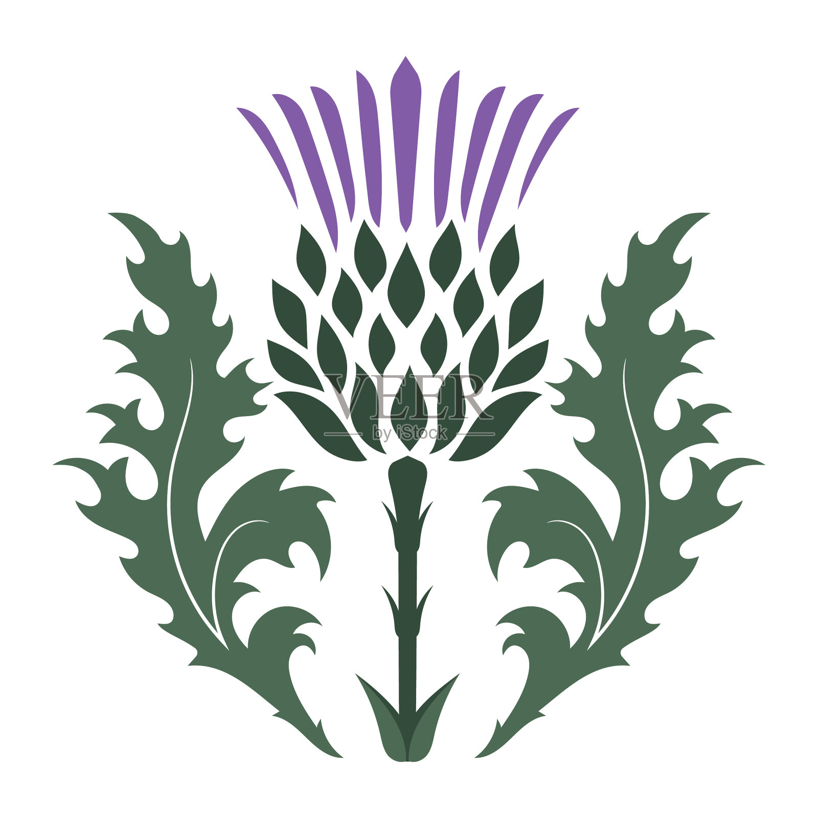 苏格兰蓟设计元素图片