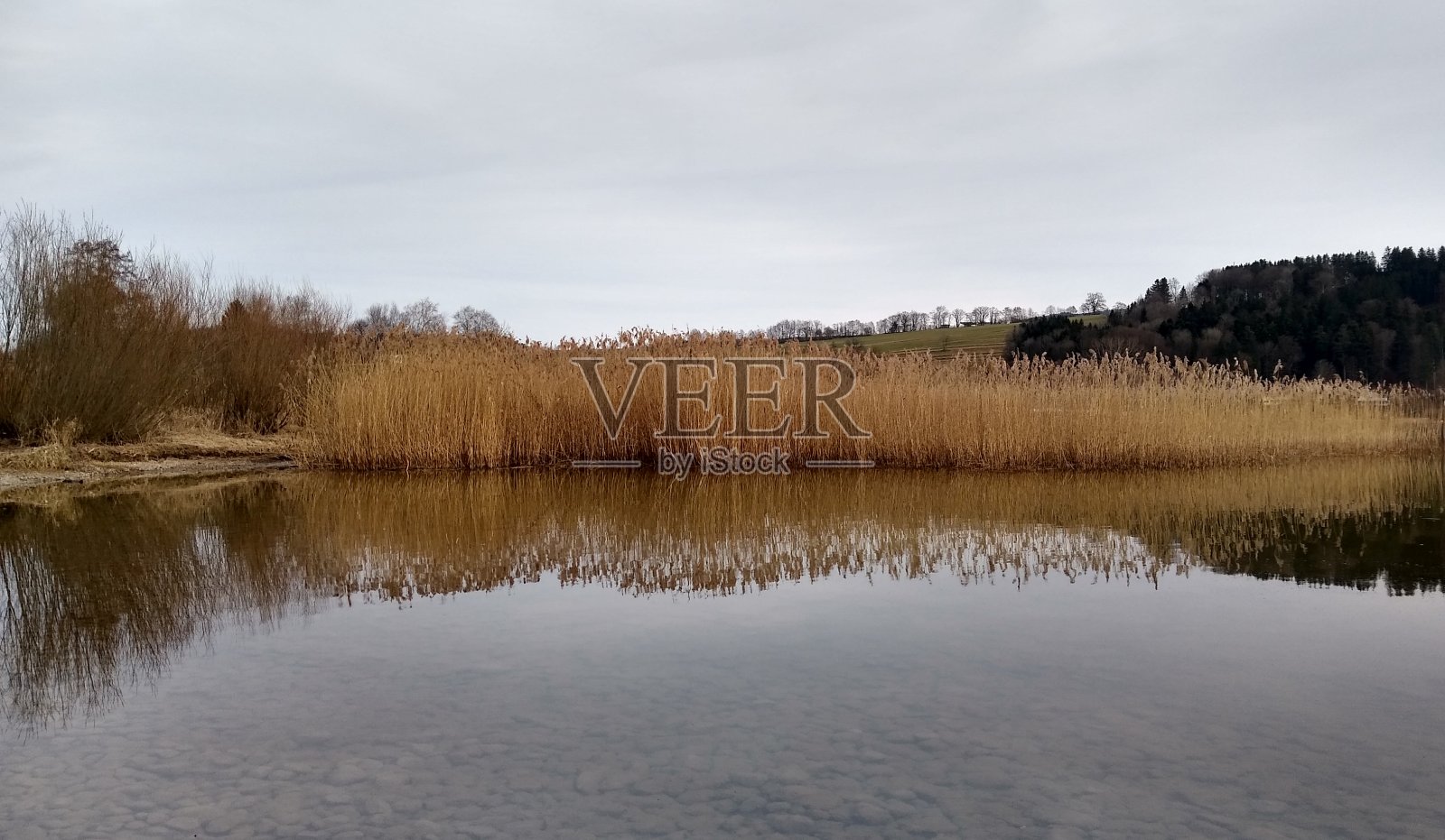 沃勒西照片摄影图片