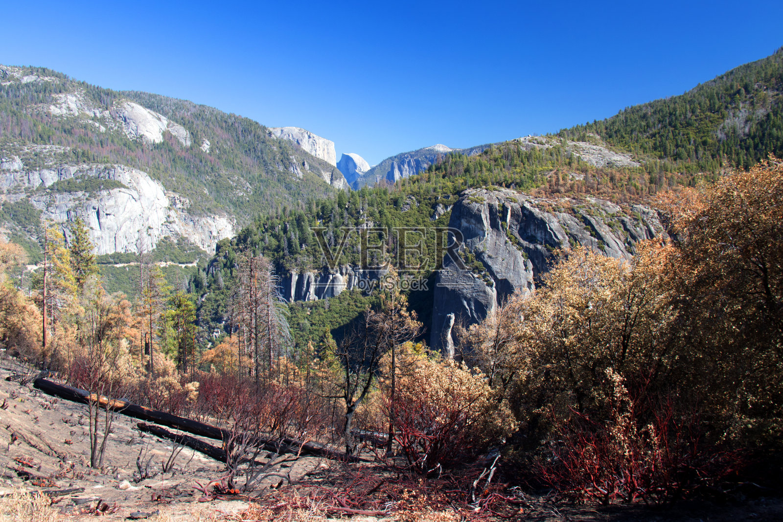 被烧毁的山区景观照片摄影图片