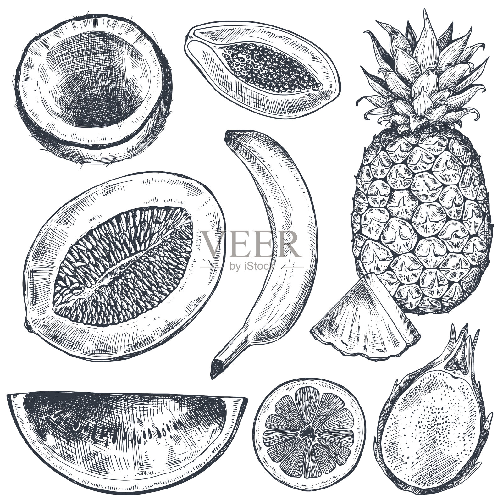 设置手绘新鲜水果素描风格设计元素图片