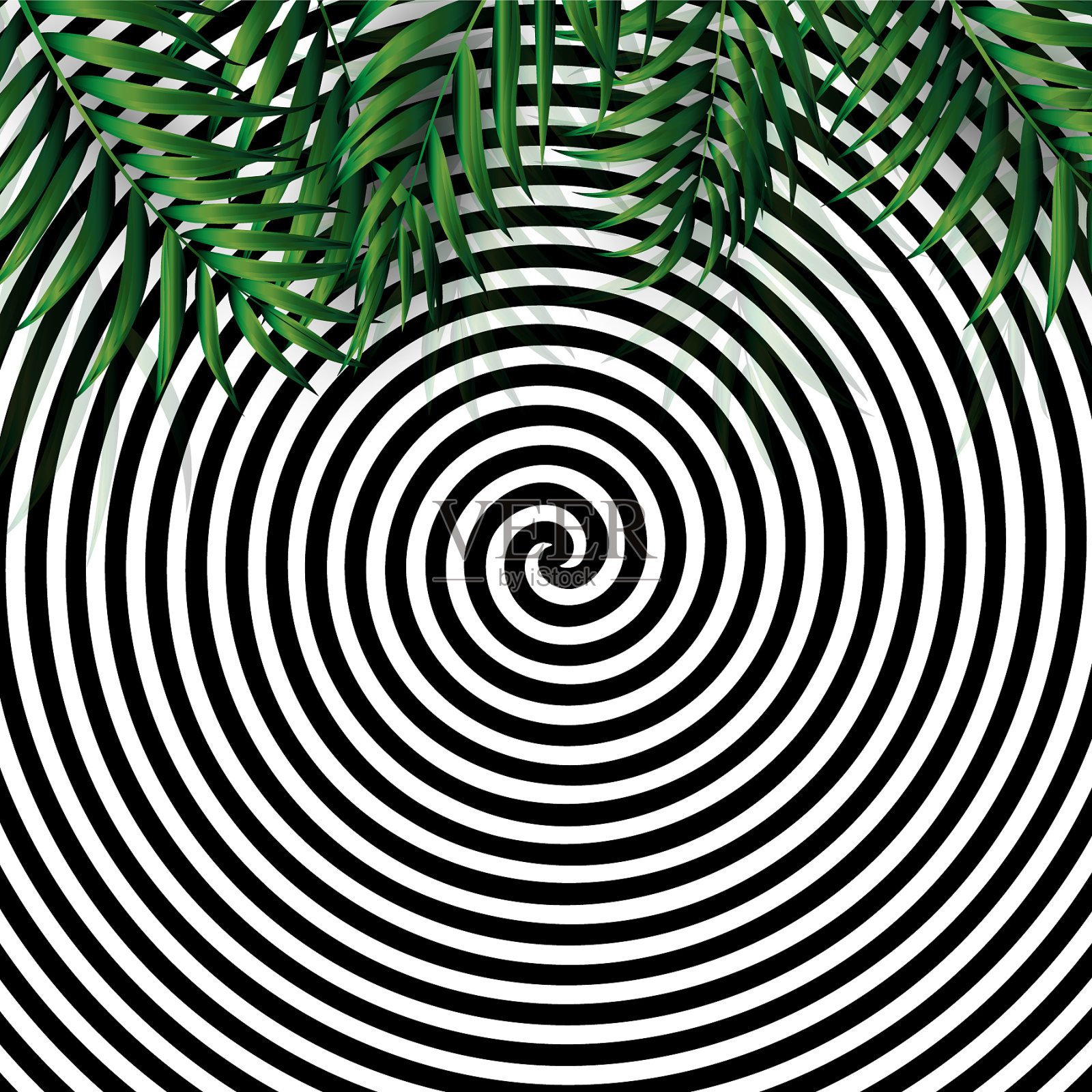 热带天然棕榈背景eps10插画图片素材