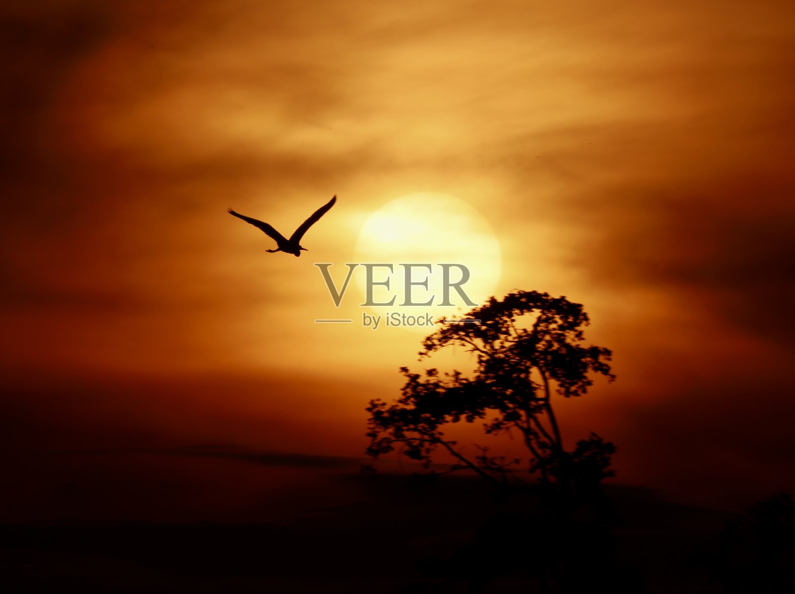 海报/国内旅游照片摄影图片