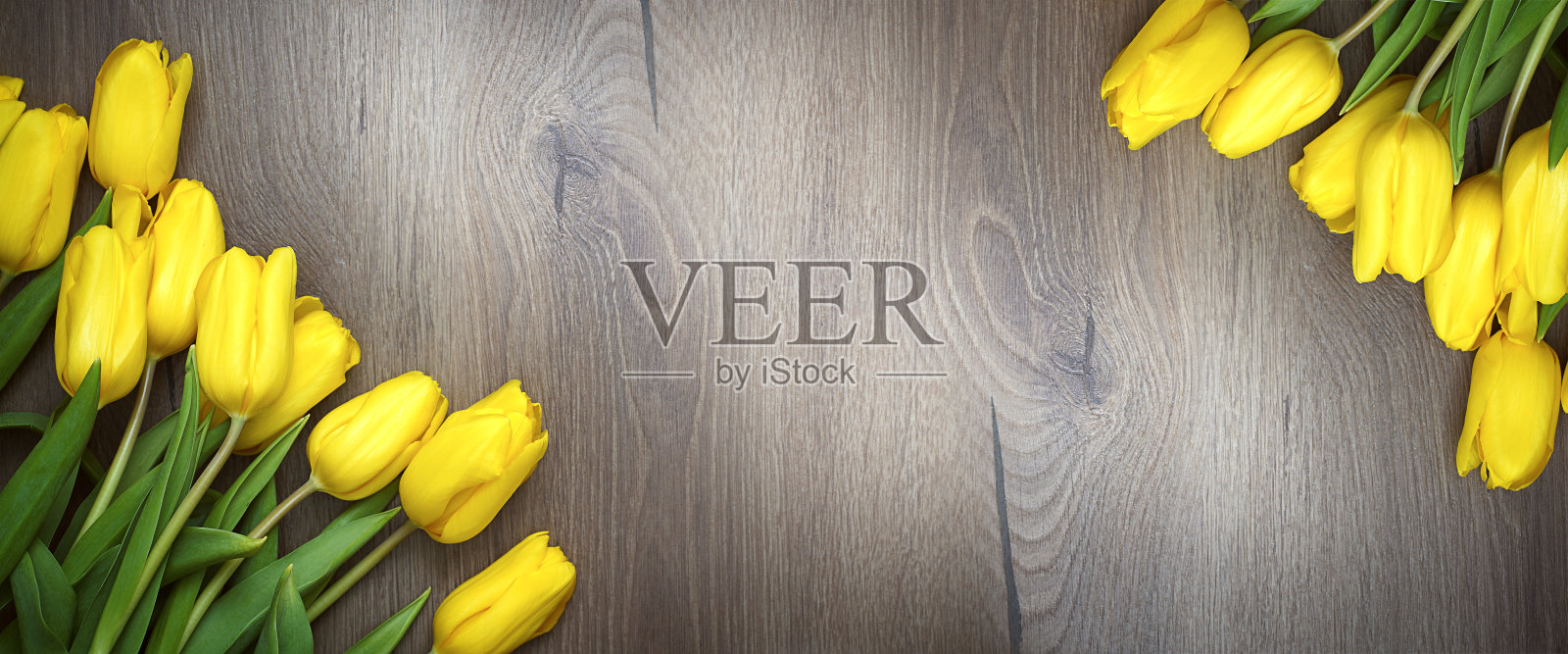 木质背景上的黄色郁金香照片摄影图片
