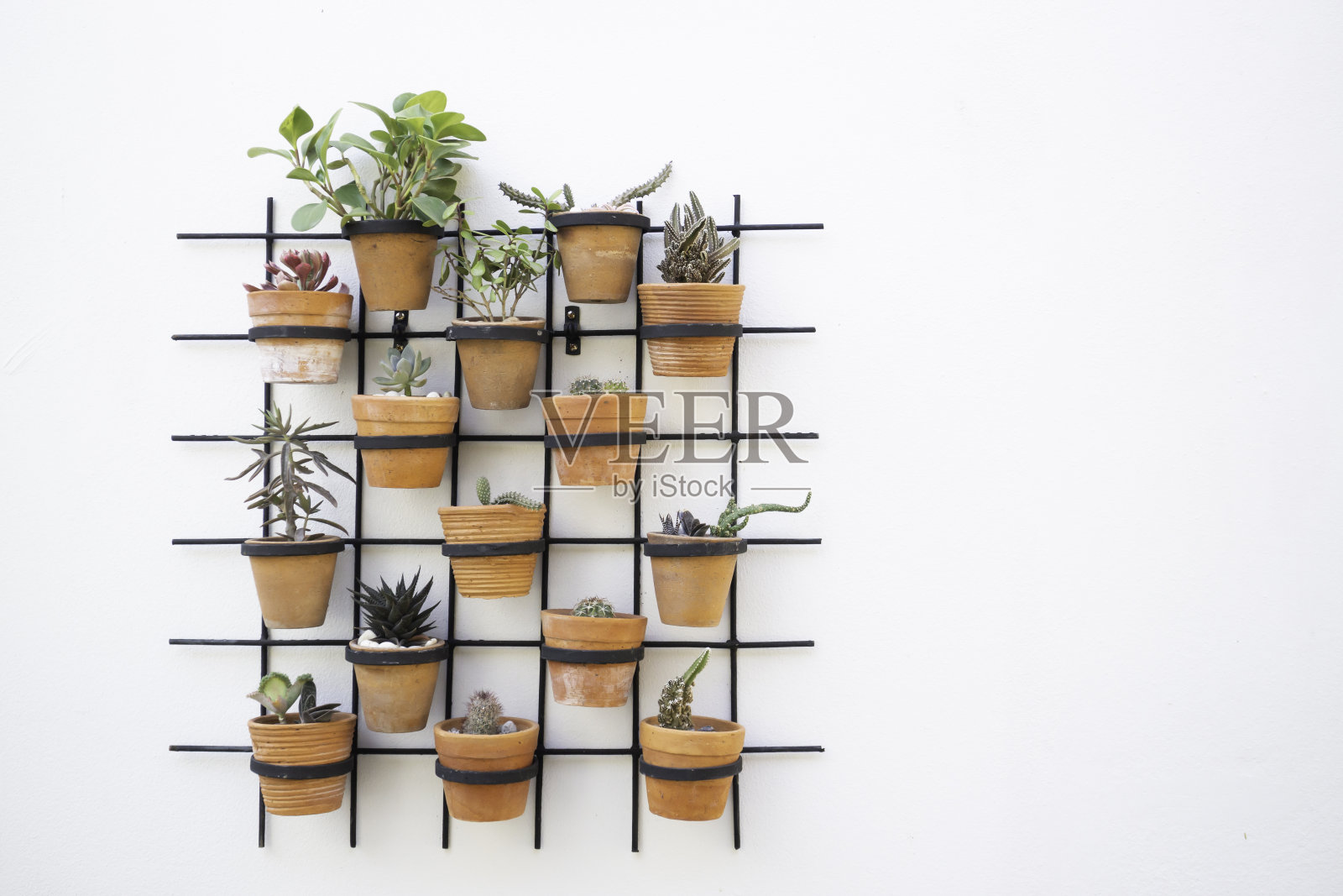 室内花园盆栽装饰照片摄影图片