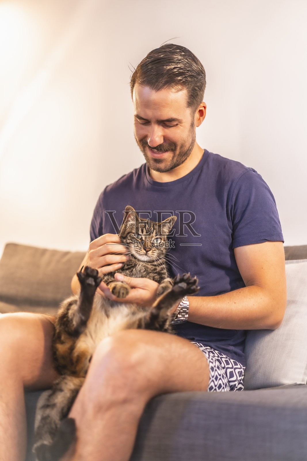 一个身穿蓝色t恤和短裤的黑头发白人青年在家里和他那只漂亮的灰白相间的家猫玩耍。猫人最好的朋友。看着猫照片摄影图片