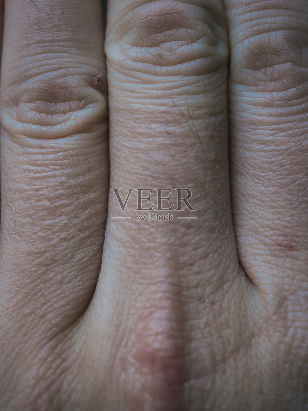 手的纹理，手相的概念照片摄影图片