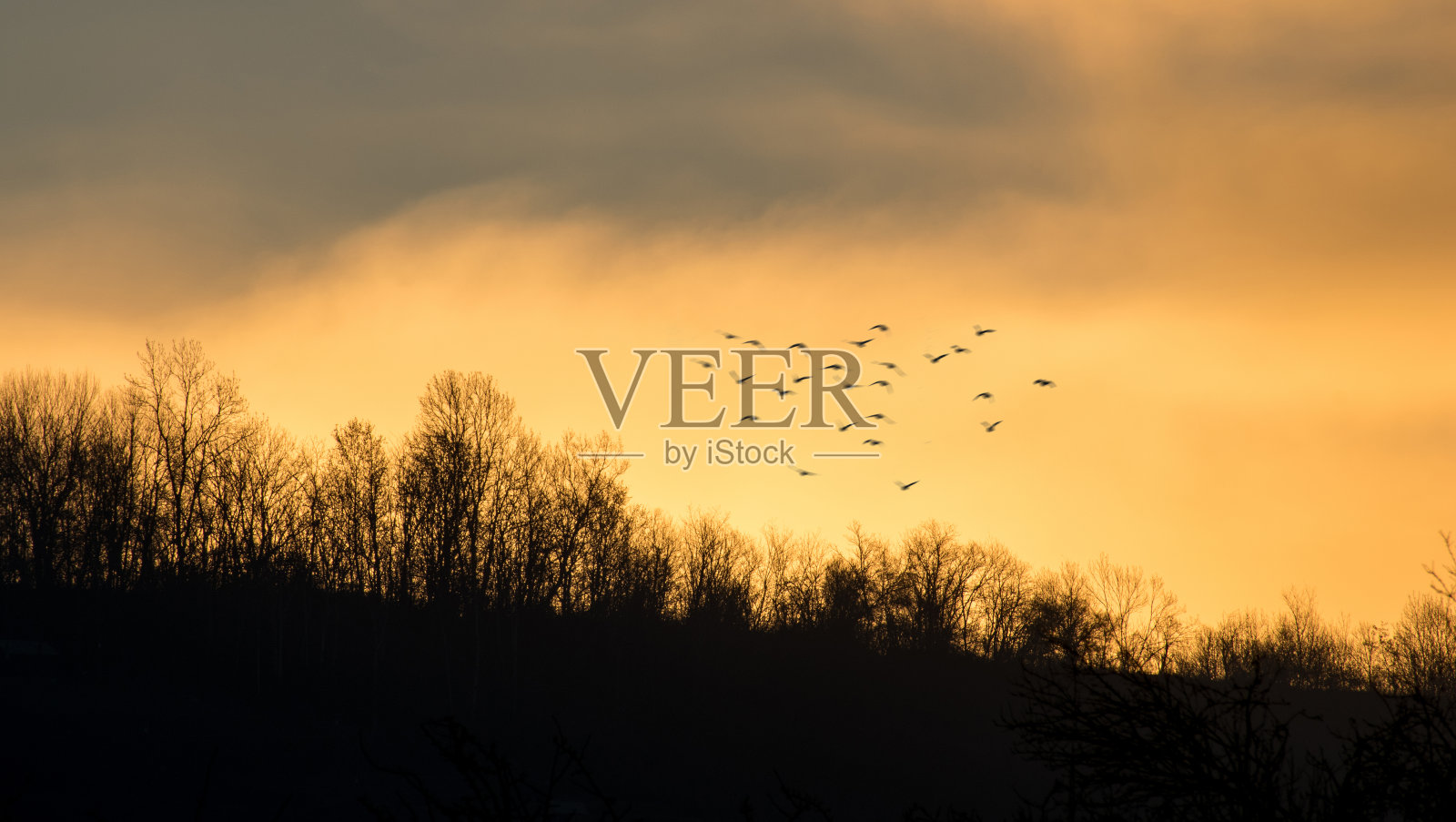 太阳从山后升起。照片摄影图片