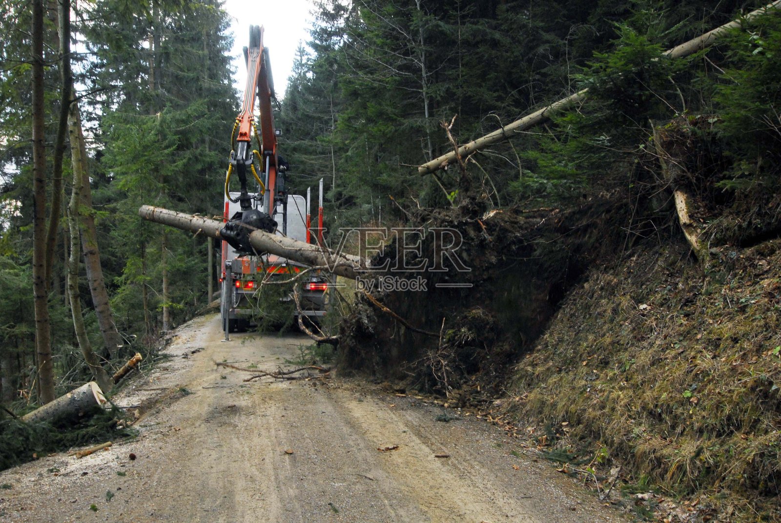 将木材装载到栏杆上照片摄影图片