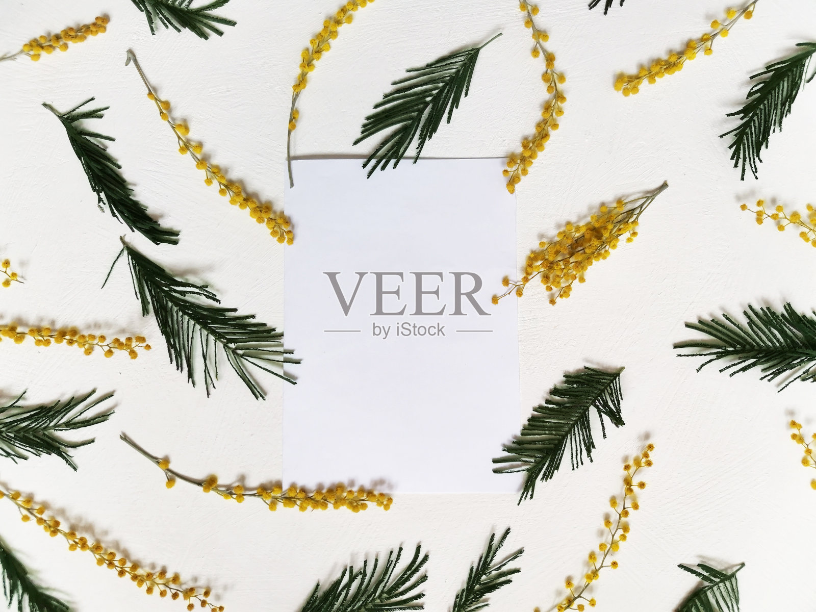 设计新颖，绿叶黄花配白色方框，平铺，可作广告或请帖。照片摄影图片