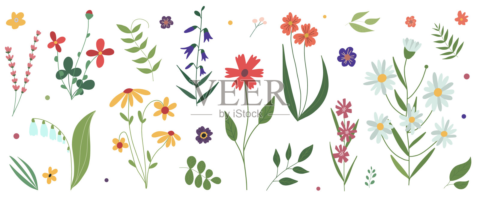 收集野生盛开的草地花朵。平面彩色植物矢量插图。插画图片素材