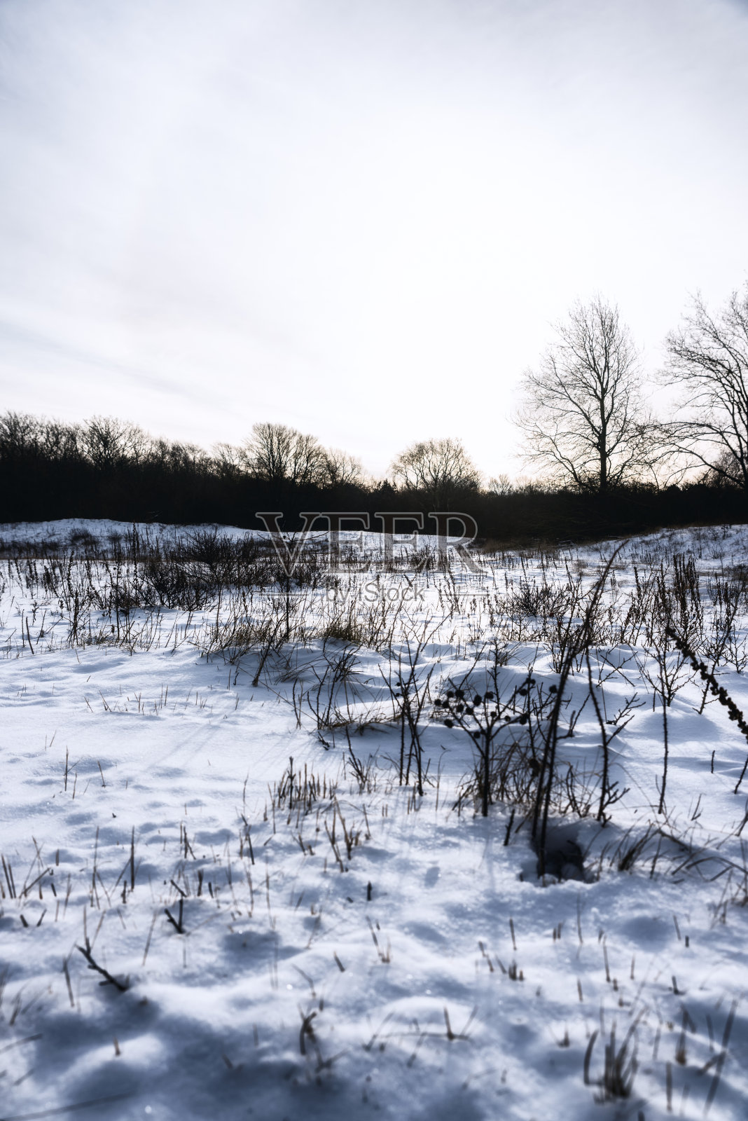 位于荷兰北部的诺德霍兰照片摄影图片