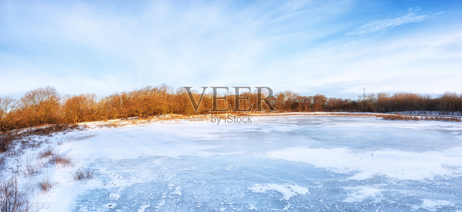 典型的荷兰冬季景观照片摄影图片