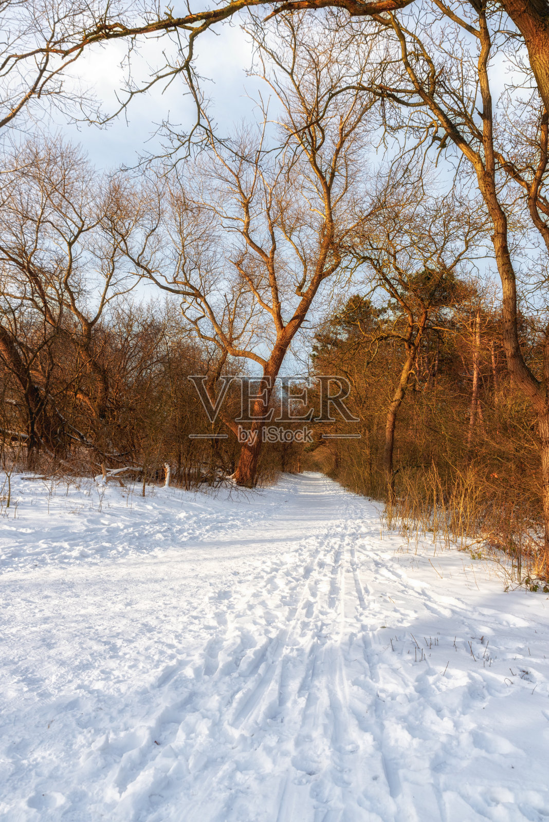 位于荷兰北部的诺德霍兰照片摄影图片