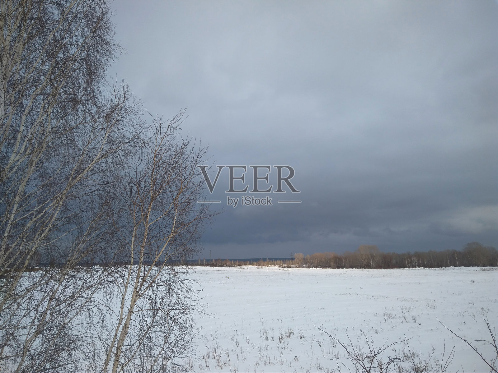 白色的雪在冬天多云的天气在西伯利亚的森林里照片摄影图片