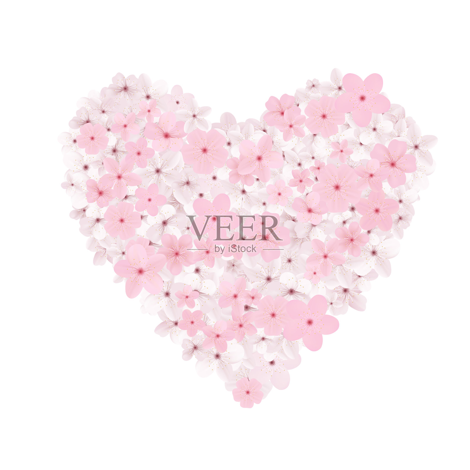 樱花心，樱花树插画图片素材