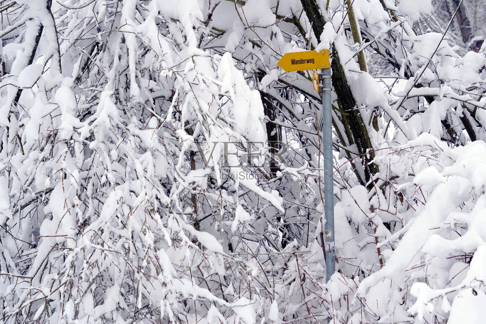 冬季风景详实，树枝上覆盖着厚厚的积雪，黄色路标上镌刻着德语徒步小径。照片摄影图片