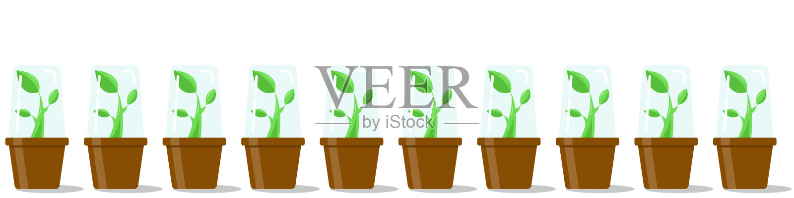 一排光滑的绿色小芽放在棕色的花盆里，顶部盖着温室遮阳篷插画图片素材