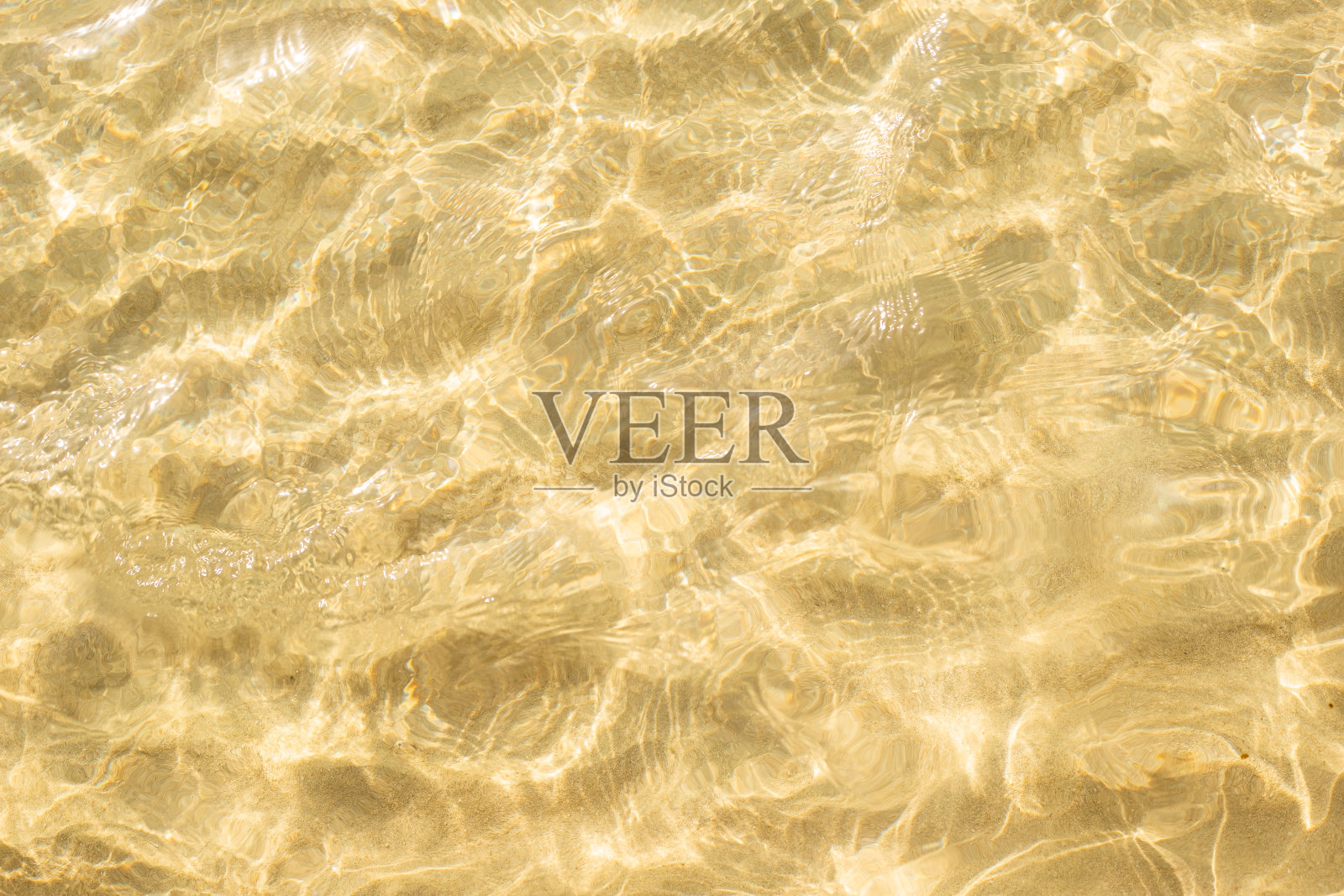 金色的海面在一个阳光明媚的日子。背景。前视图。照片摄影图片