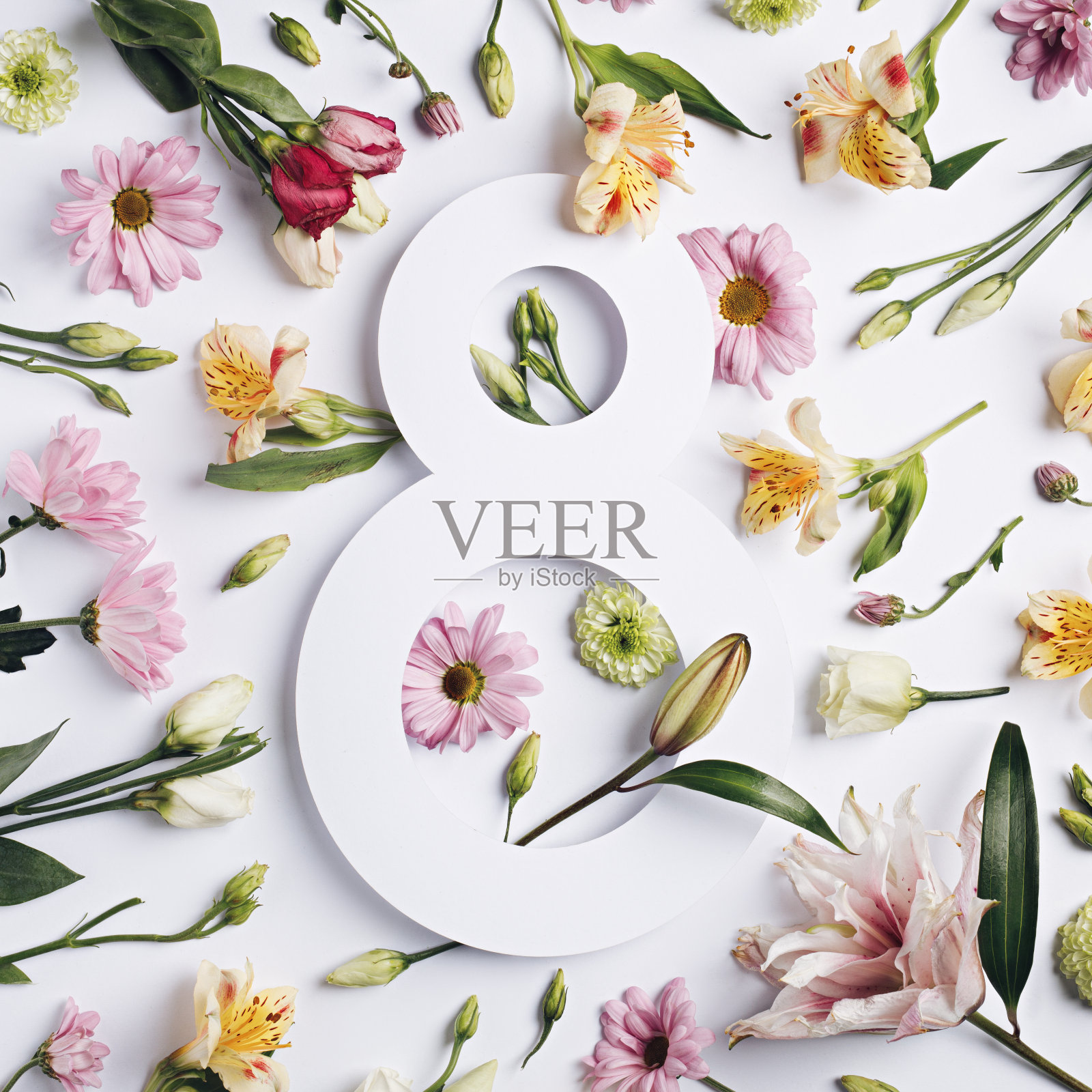 第8号花是春天开的鲜花，绿叶点缀在明亮的白色背景上。照片摄影图片