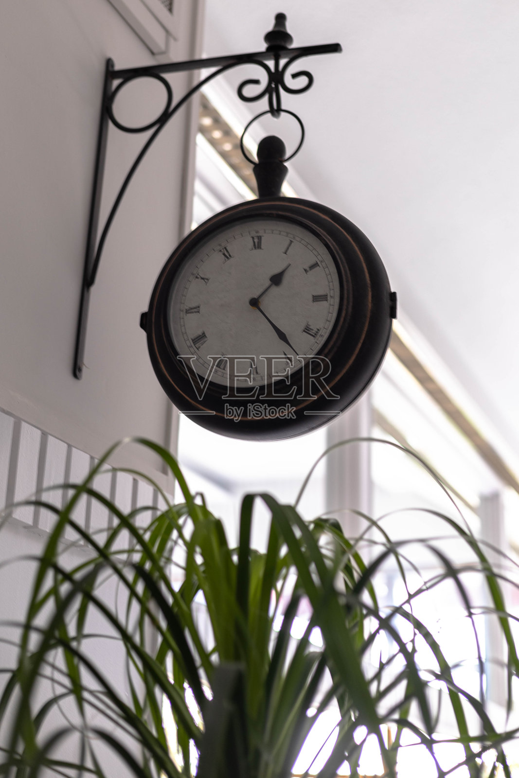 一个带有罗马数字和黑色边框的古董圆形壁钟被放置在酒店墙壁上植物上方的铁或锻铁支架上。照片摄影图片
