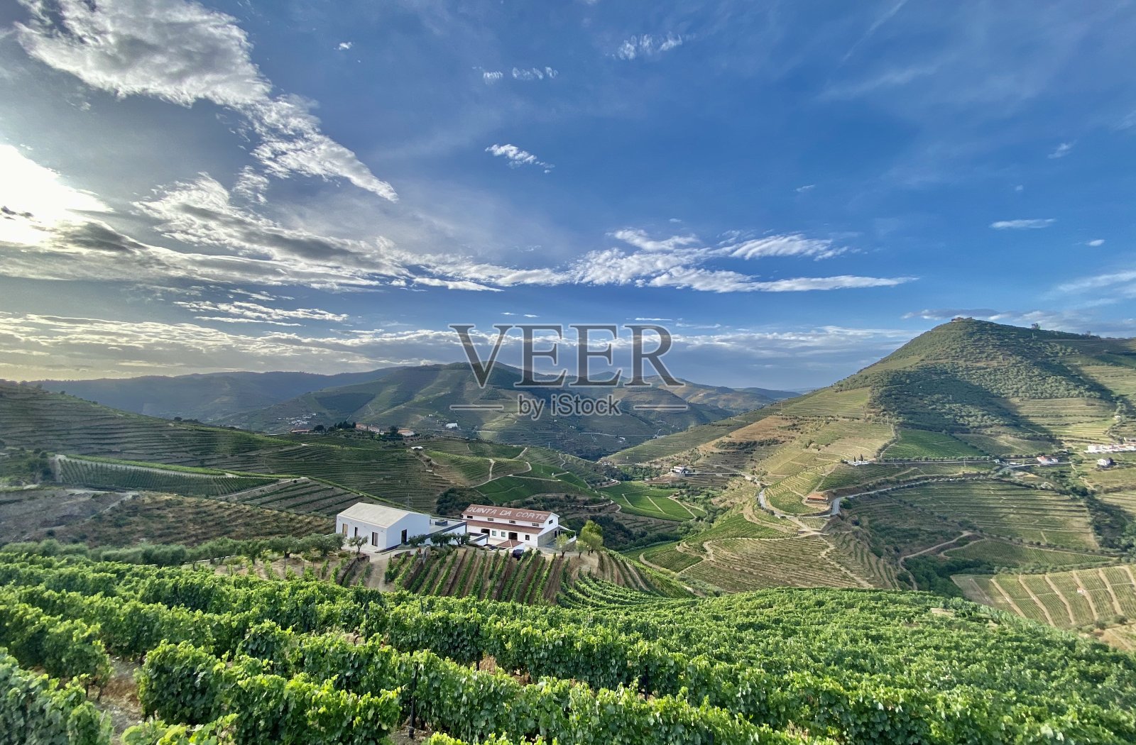 葡萄酒的国家照片摄影图片