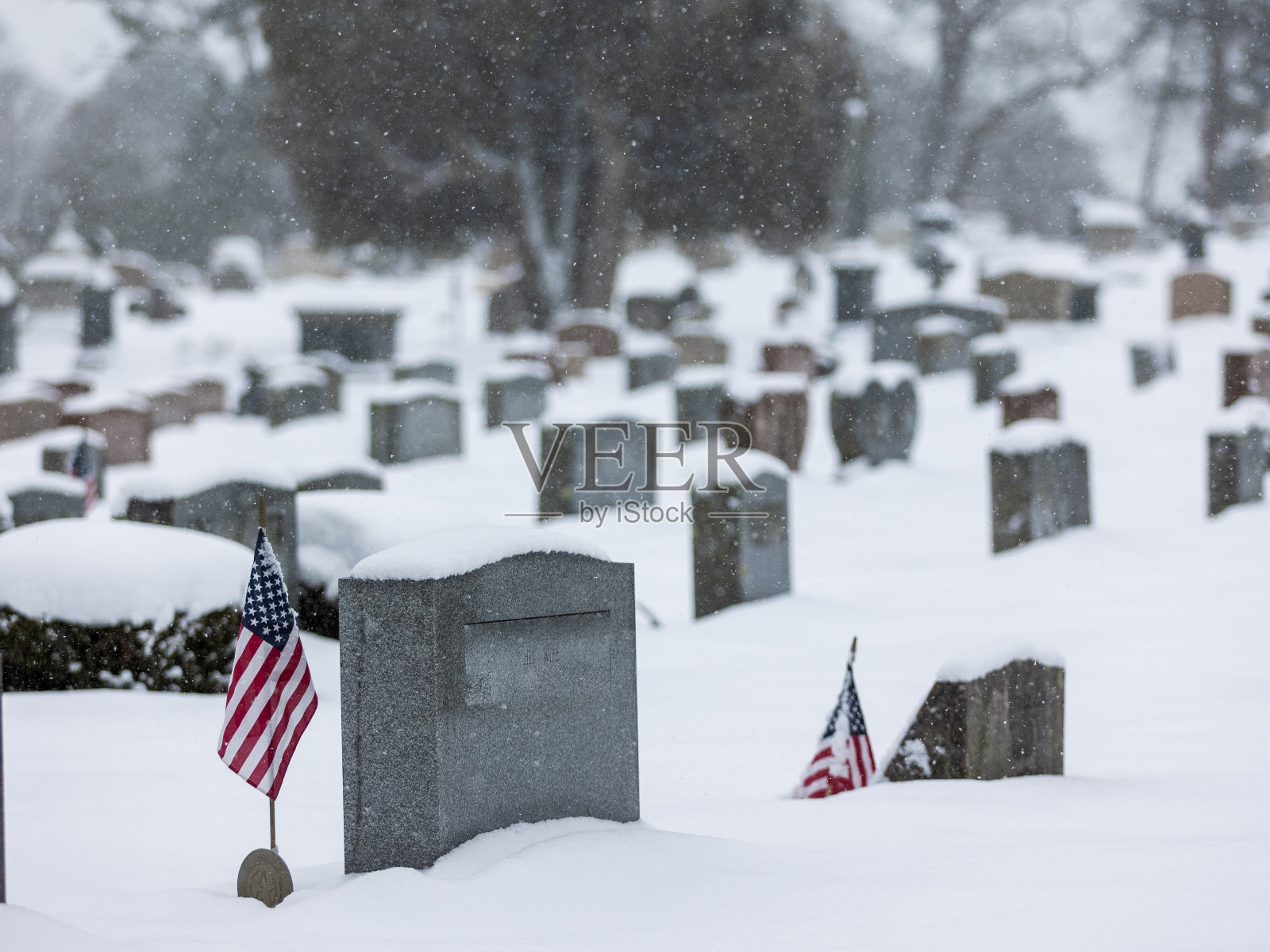 大雪覆盖了美国新英格兰照片摄影图片