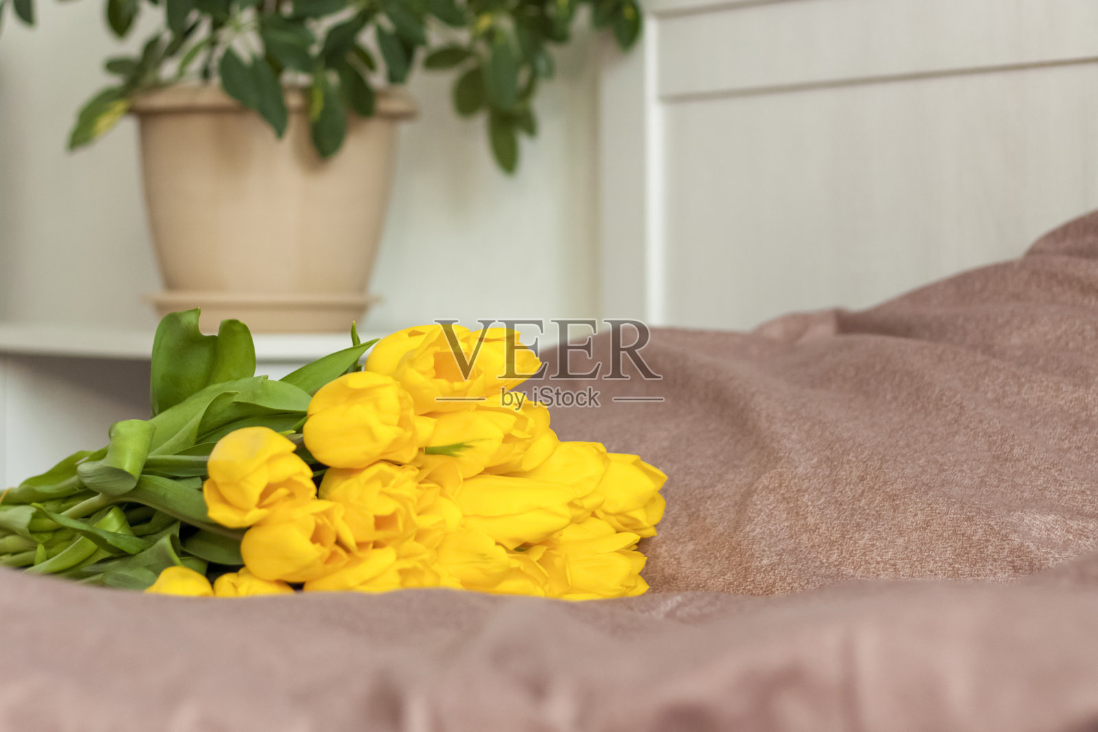 床上放着一束黄色的郁金香。一束新鲜的郁金香。照片摄影图片