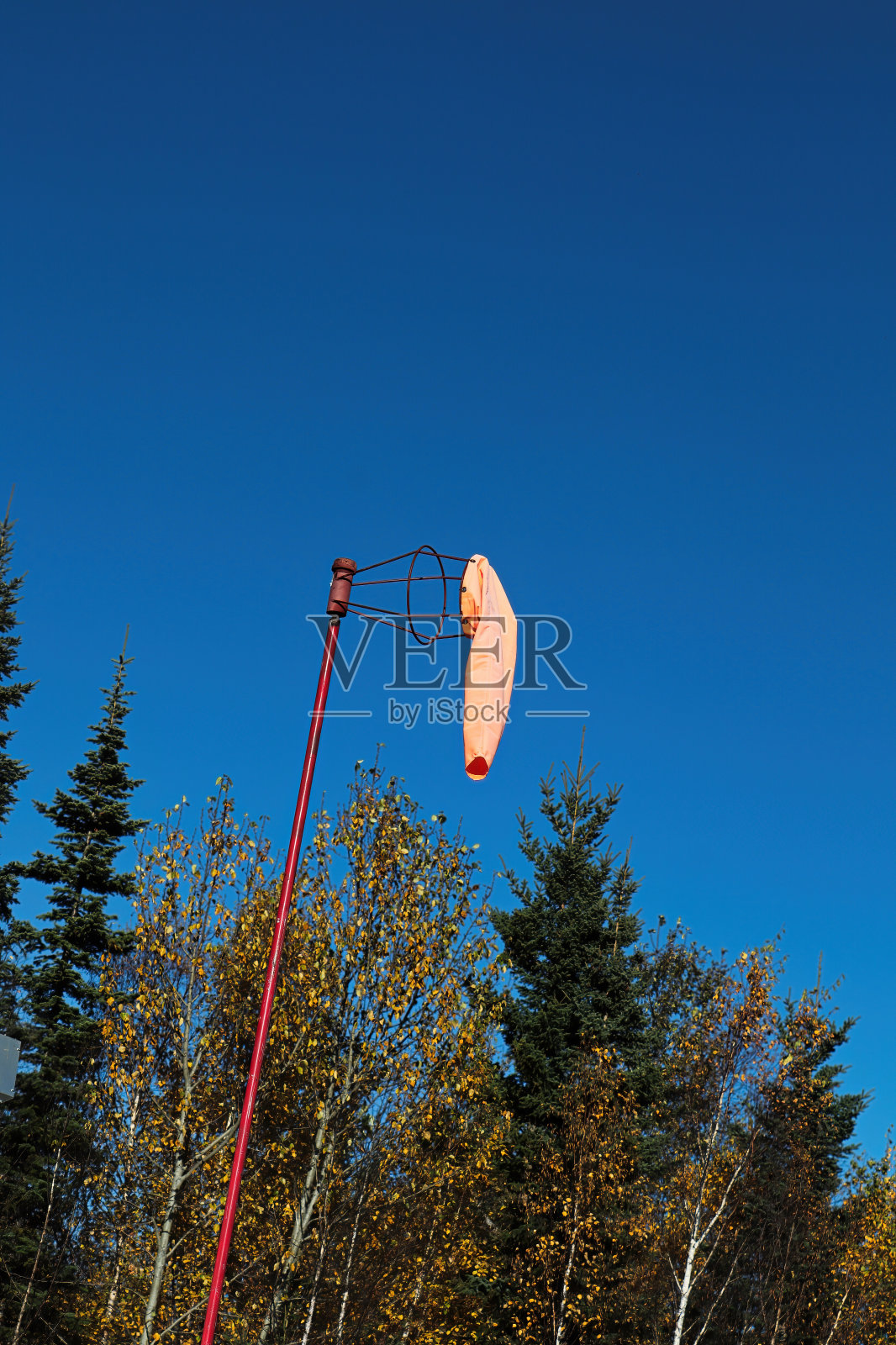 一只风袋平静地挂在蓝天下照片摄影图片