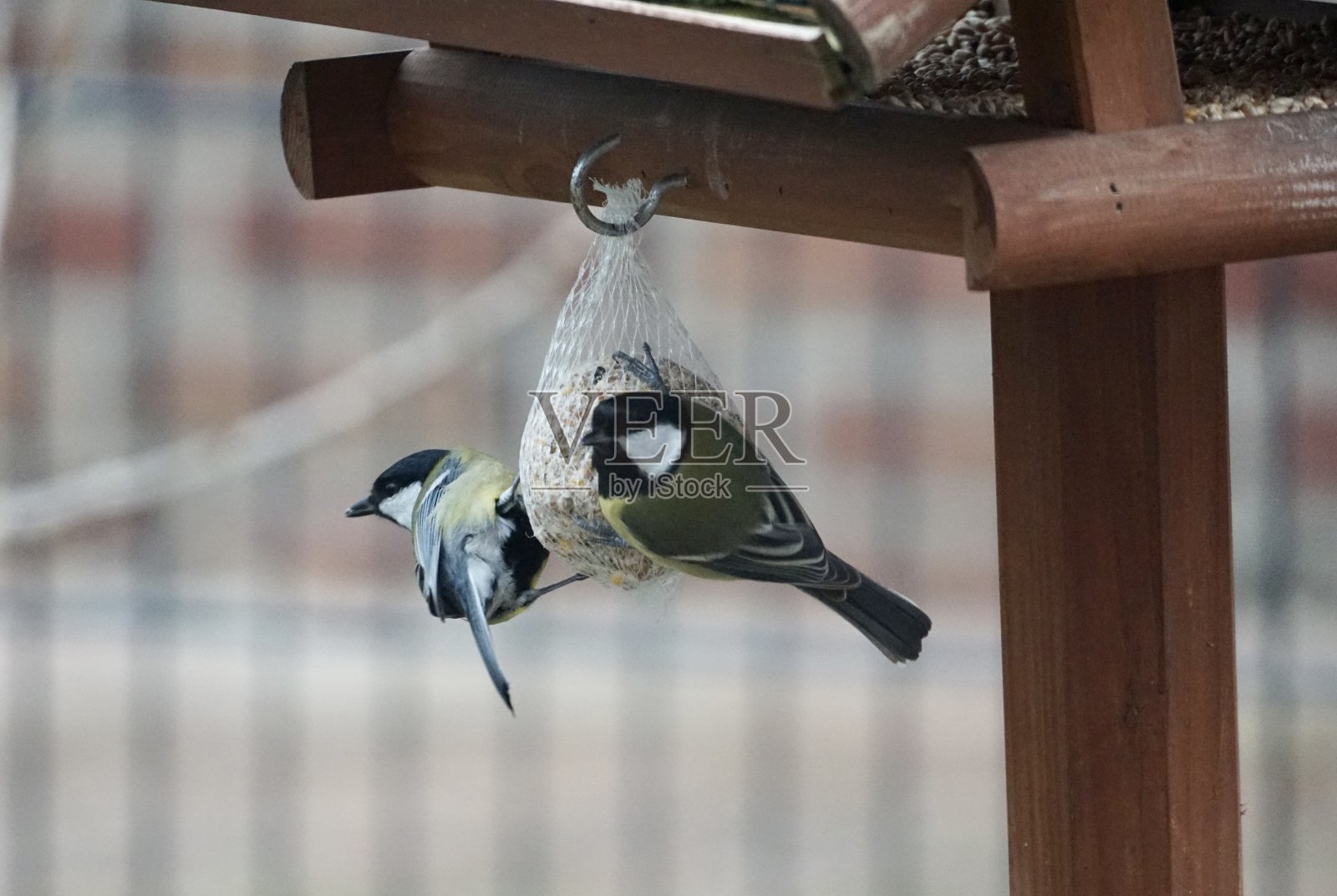 美丽的大自然照片摄影图片