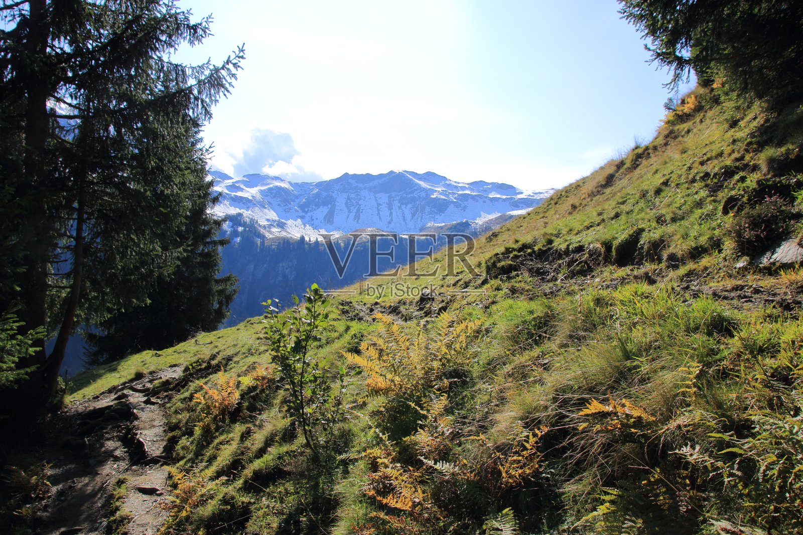 阿尔卑斯山附近的萨尔巴赫腹地在奥地利照片摄影图片