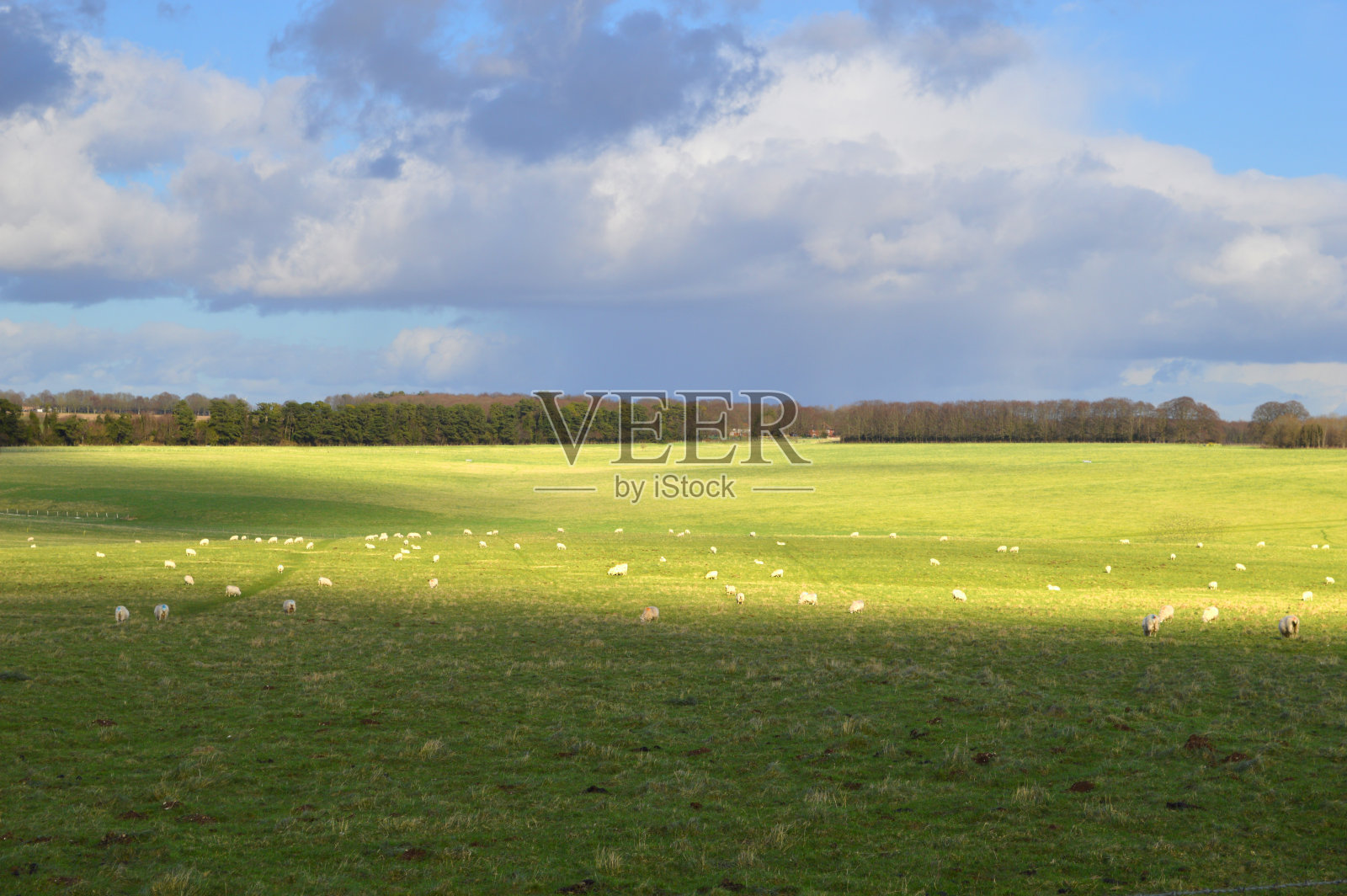 天空，云彩和草地照片摄影图片